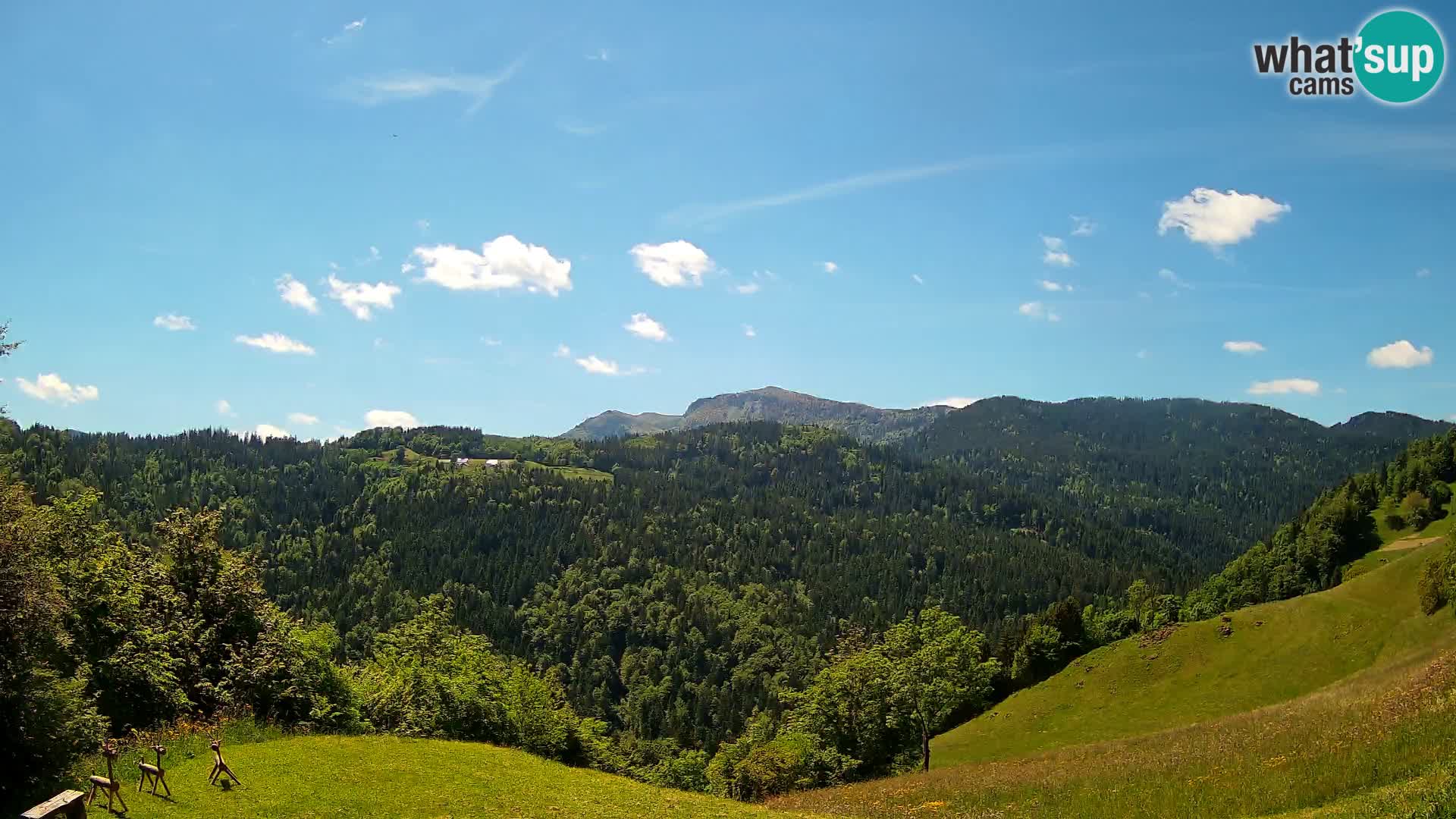 Webcam Brunarica Dražgoše – Live View of Ratitovec (1666 m)
