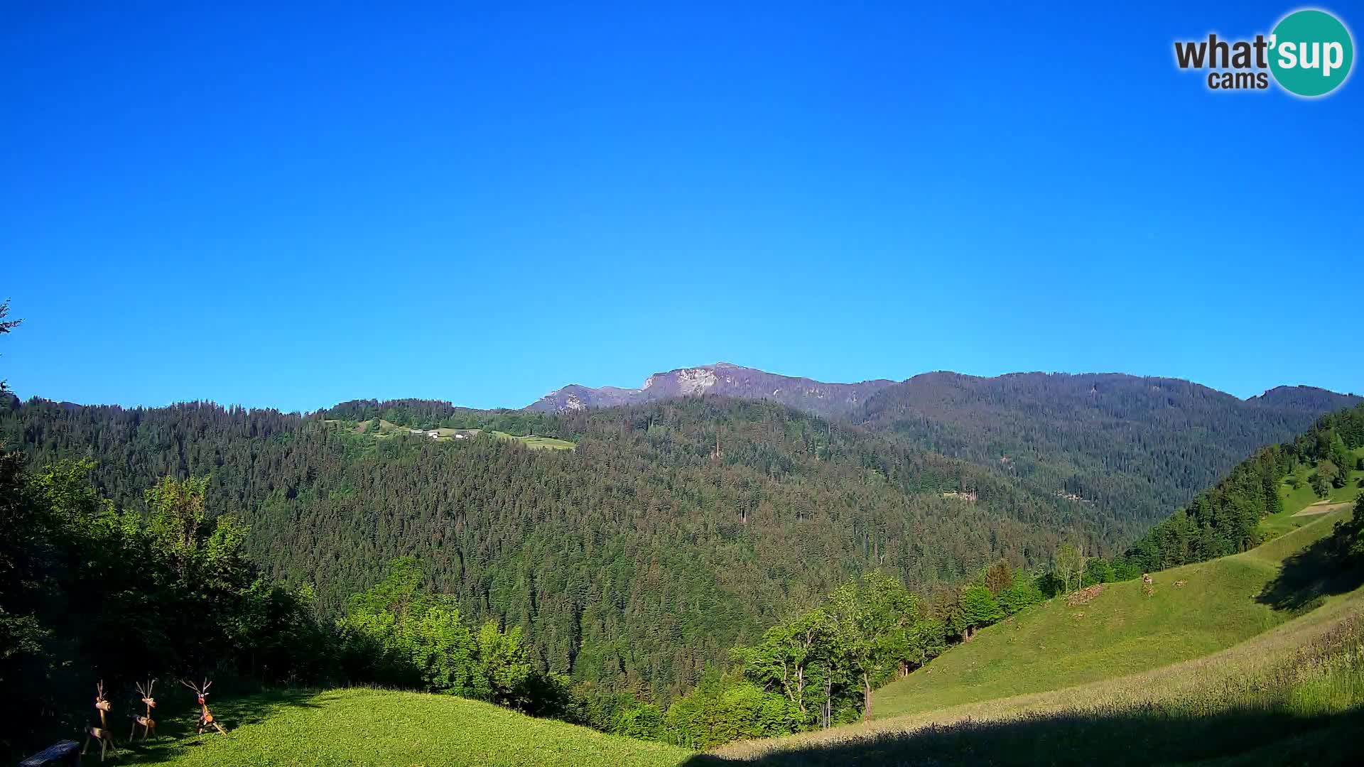 Webcam Brunarica Dražgoše – Live View of Ratitovec (1666 m)
