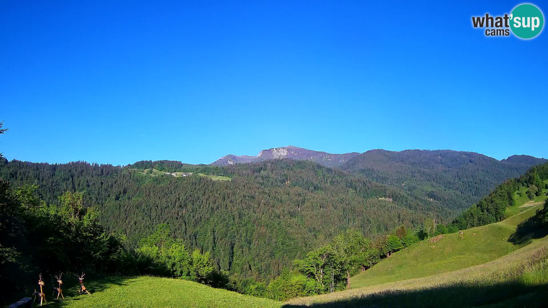 Webcam Brunarica Dražgoše – Live View of Ratitovec (1666 m)