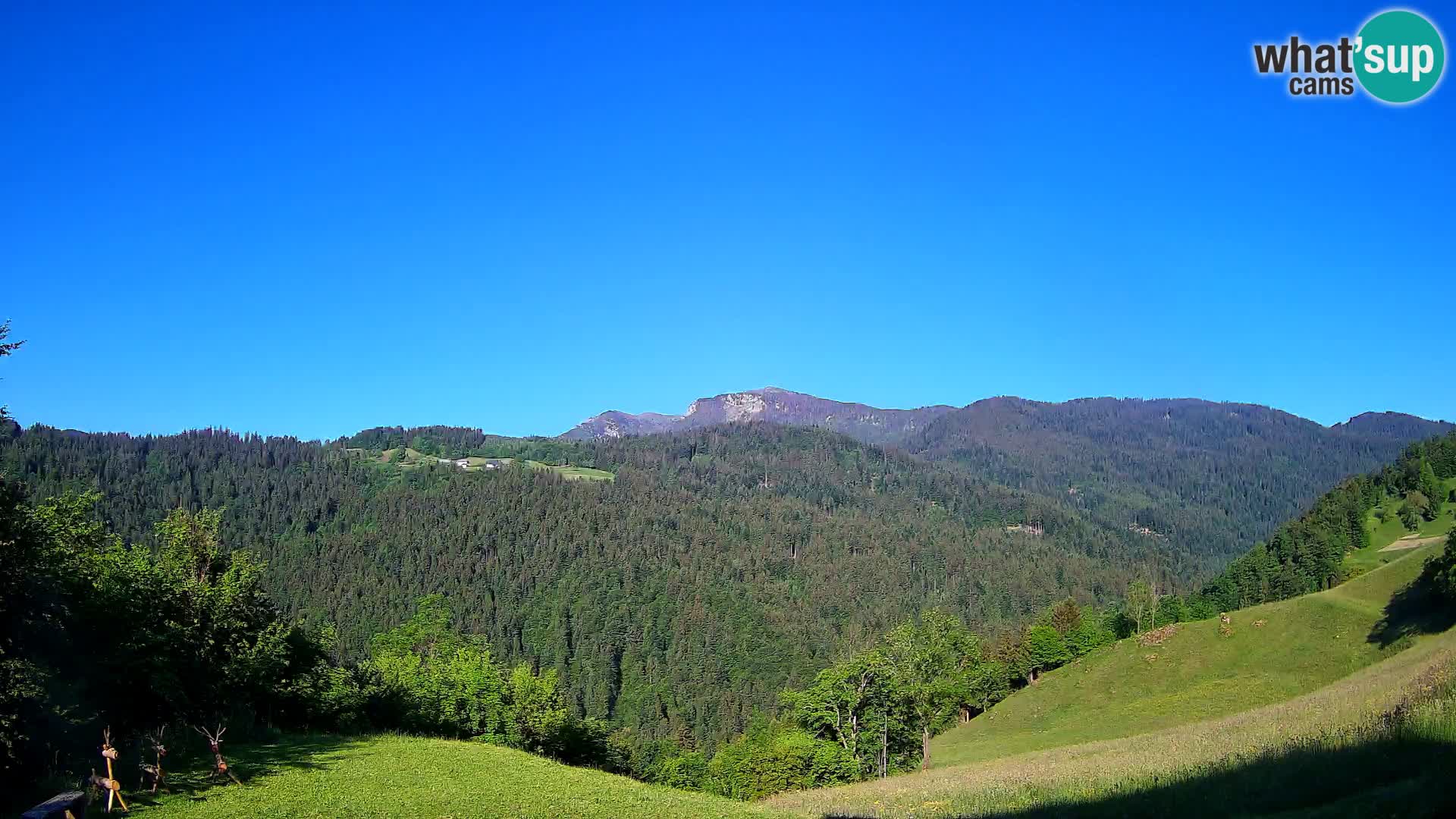 Webcam Brunarica Dražgoše – Live View of Ratitovec (1666 m)