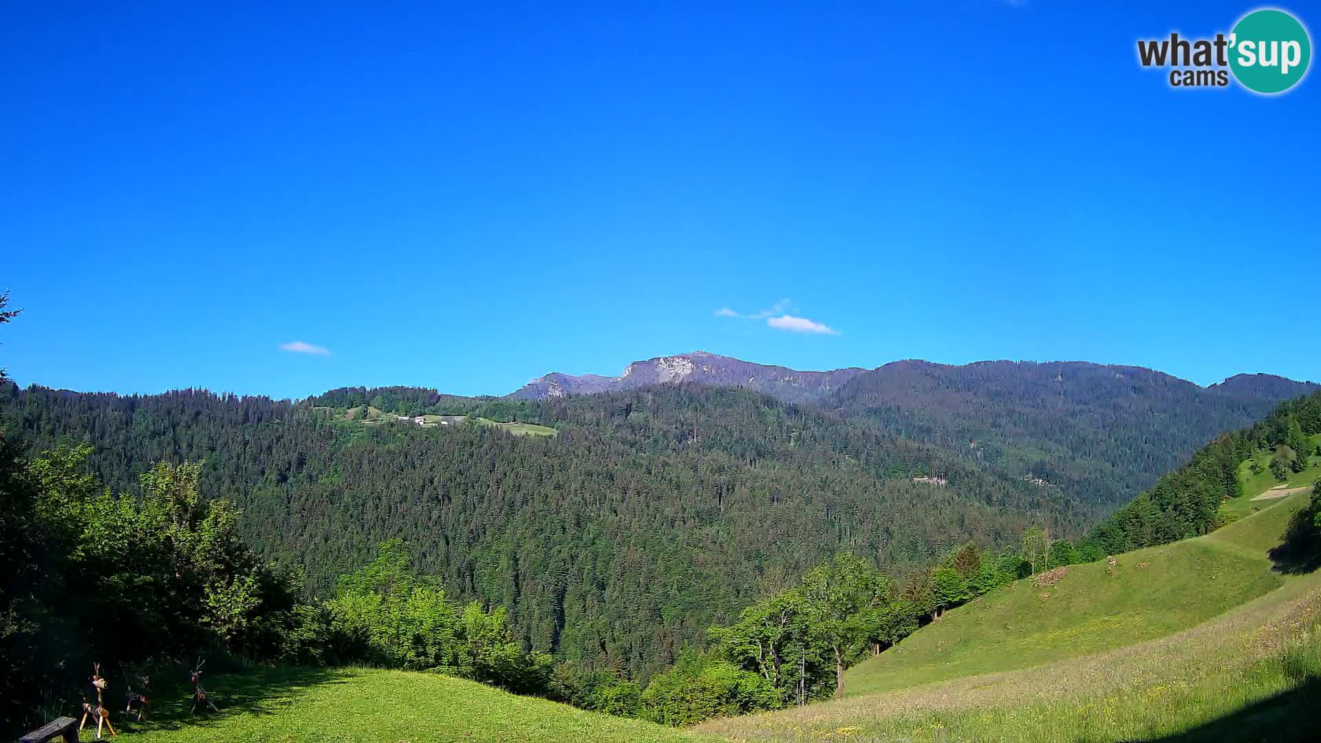Web kamera Brunarica Dražgoše – Pogled uživo na Ratitovec (1666 m)