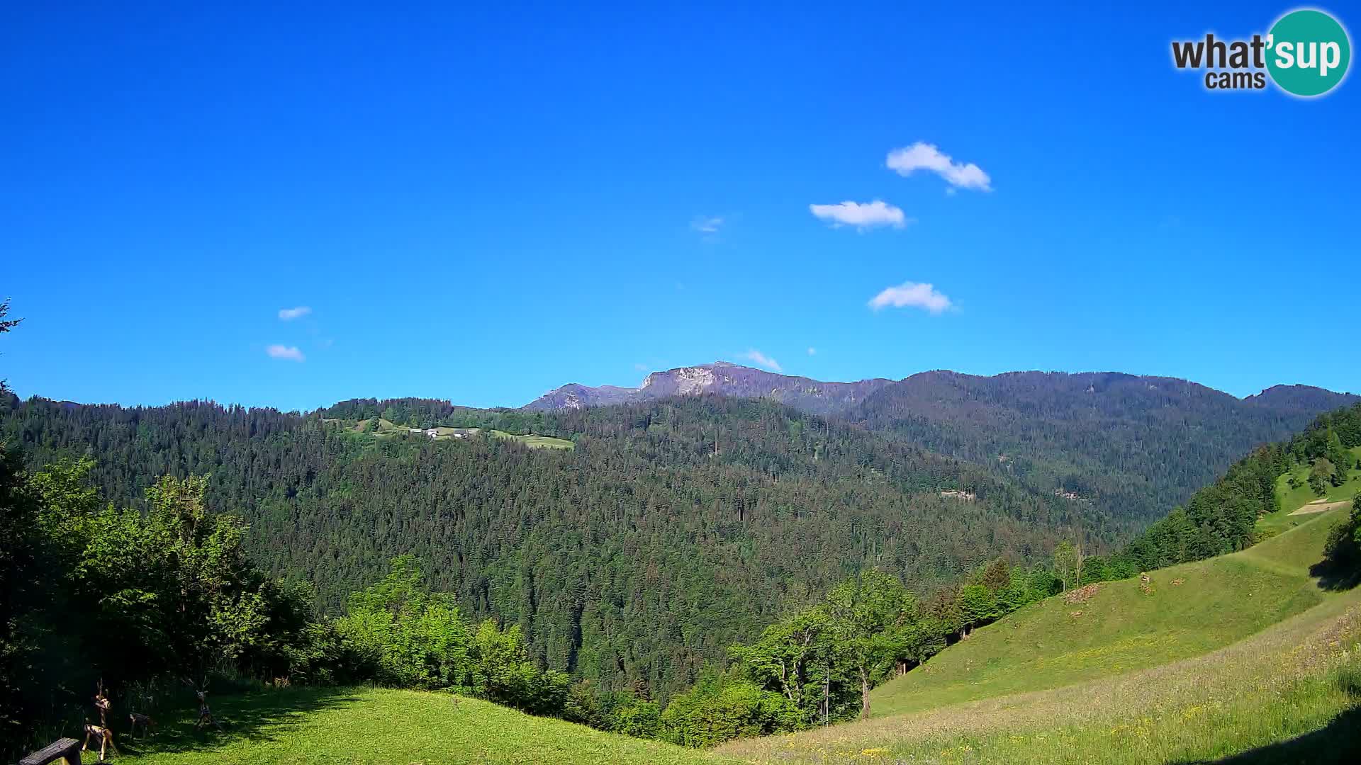 Webcam Brunarica Dražgoše – Liveblick auf Ratitovec (1666 m)