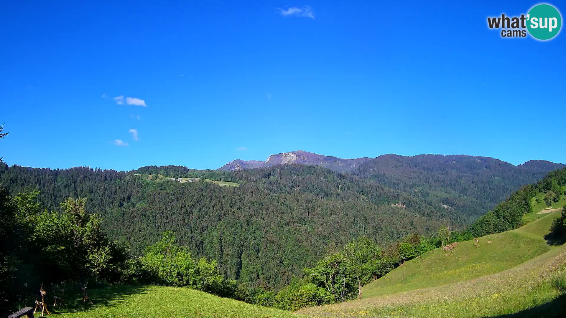 Spletna kamera Brunarica Dražgoše – Pogled v živo na Ratitovec (1666 m)