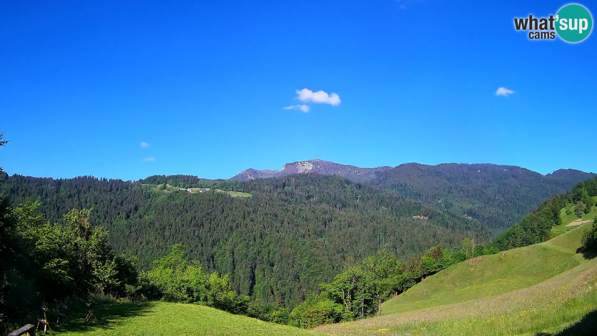 Webcam Brunarica Dražgoše – Live View of Ratitovec (1666 m)