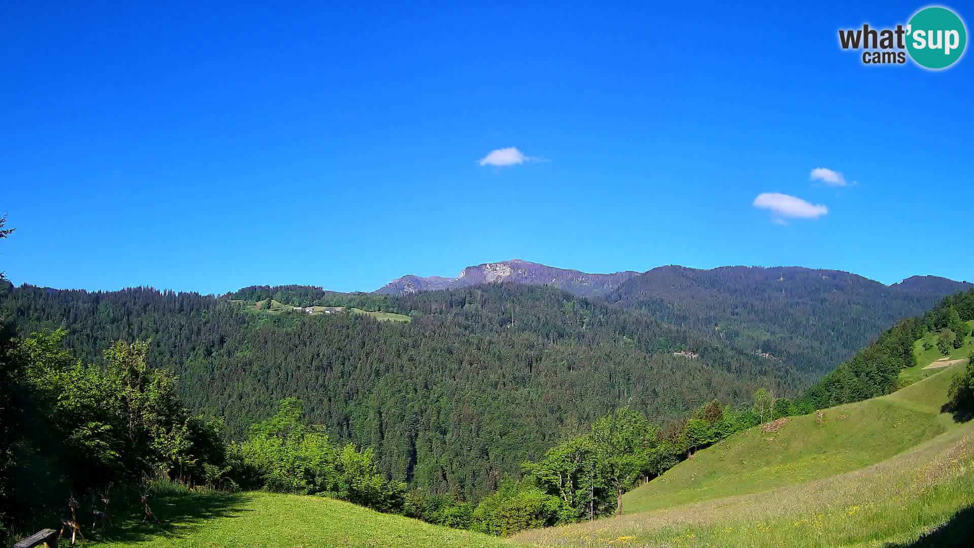 Web kamera Brunarica Dražgoše – Pogled uživo na Ratitovec (1666 m)