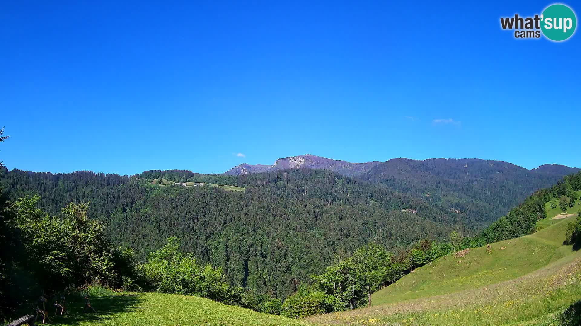 Webcam Brunarica Dražgoše – Liveblick auf Ratitovec (1666 m)