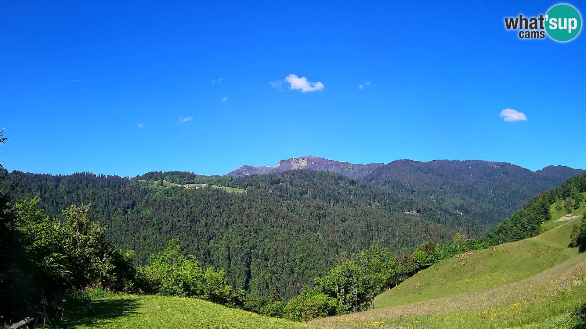 Webcam Brunarica Dražgoše – Vista live sul Ratitovec (1666 m)