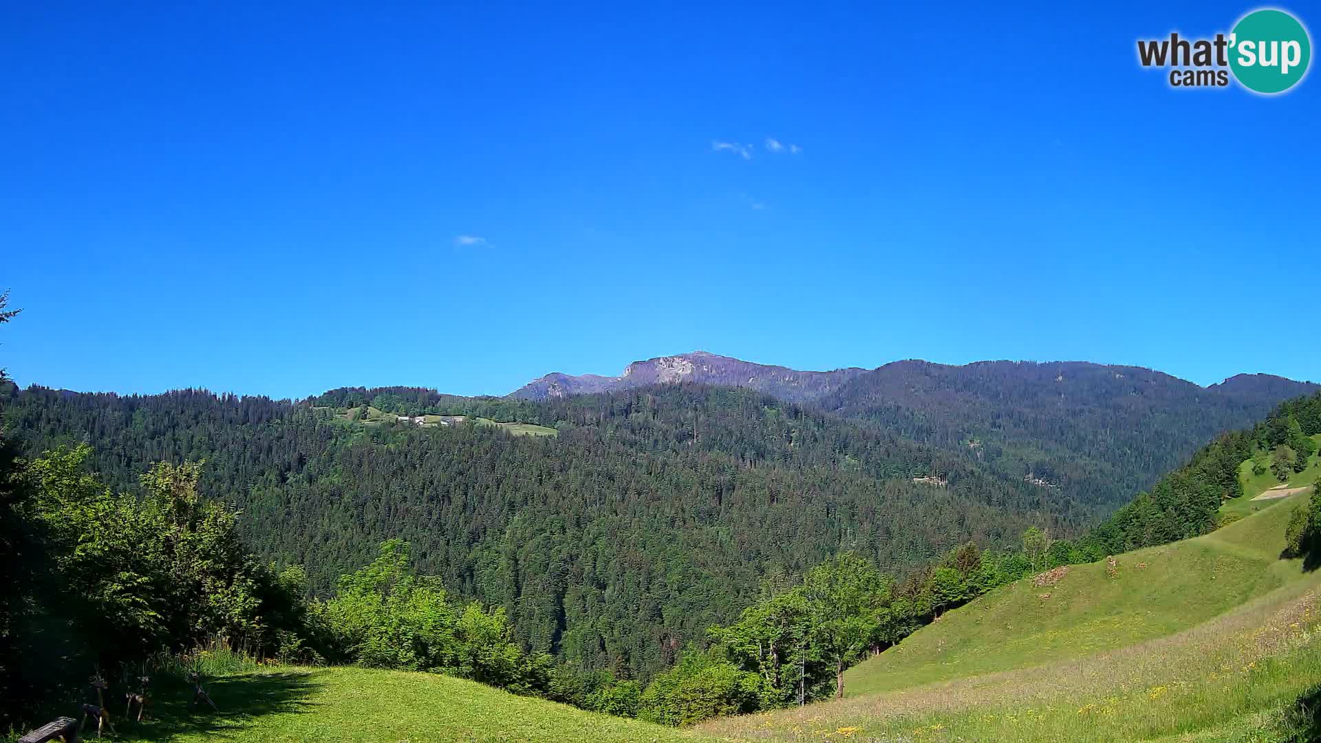 Webcam Brunarica Dražgoše – Live View of Ratitovec (1666 m)