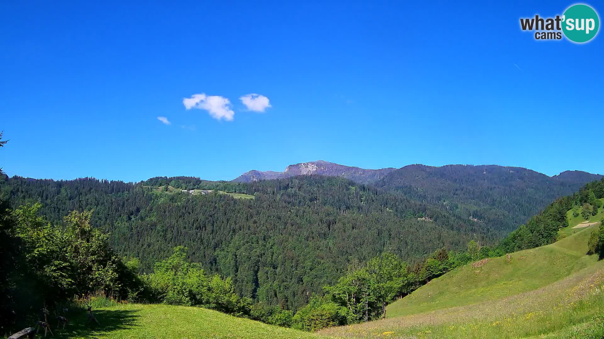 Webcam Brunarica Dražgoše – Live View of Ratitovec (1666 m)