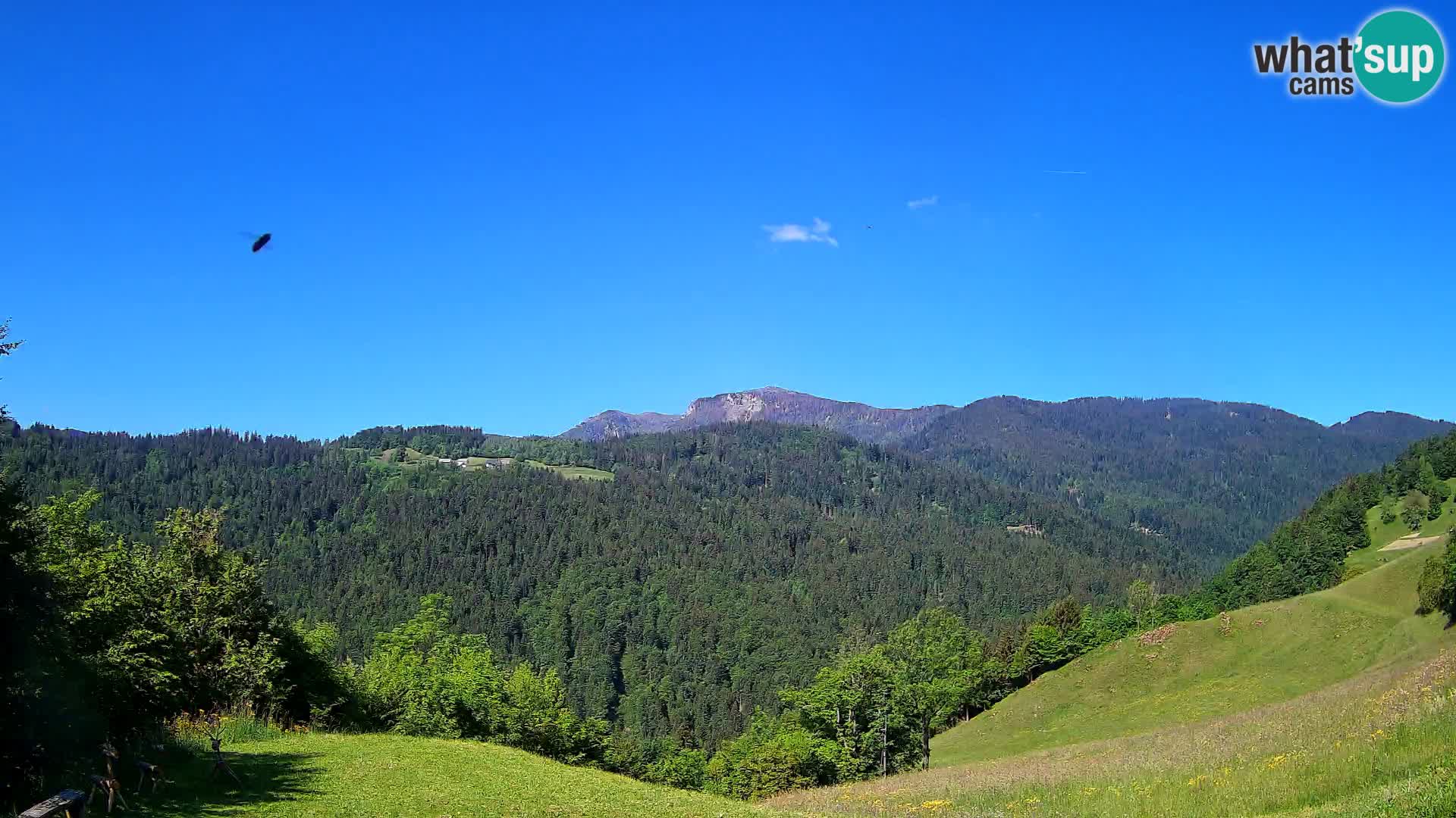Web kamera Brunarica Dražgoše – Pogled uživo na Ratitovec (1666 m)