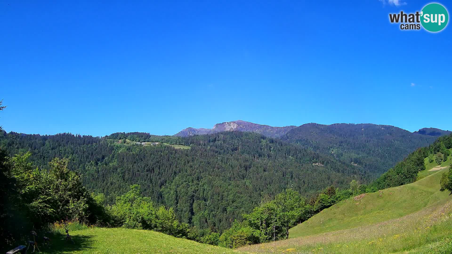 Webcam Brunarica Dražgoše – Live View of Ratitovec (1666 m)
