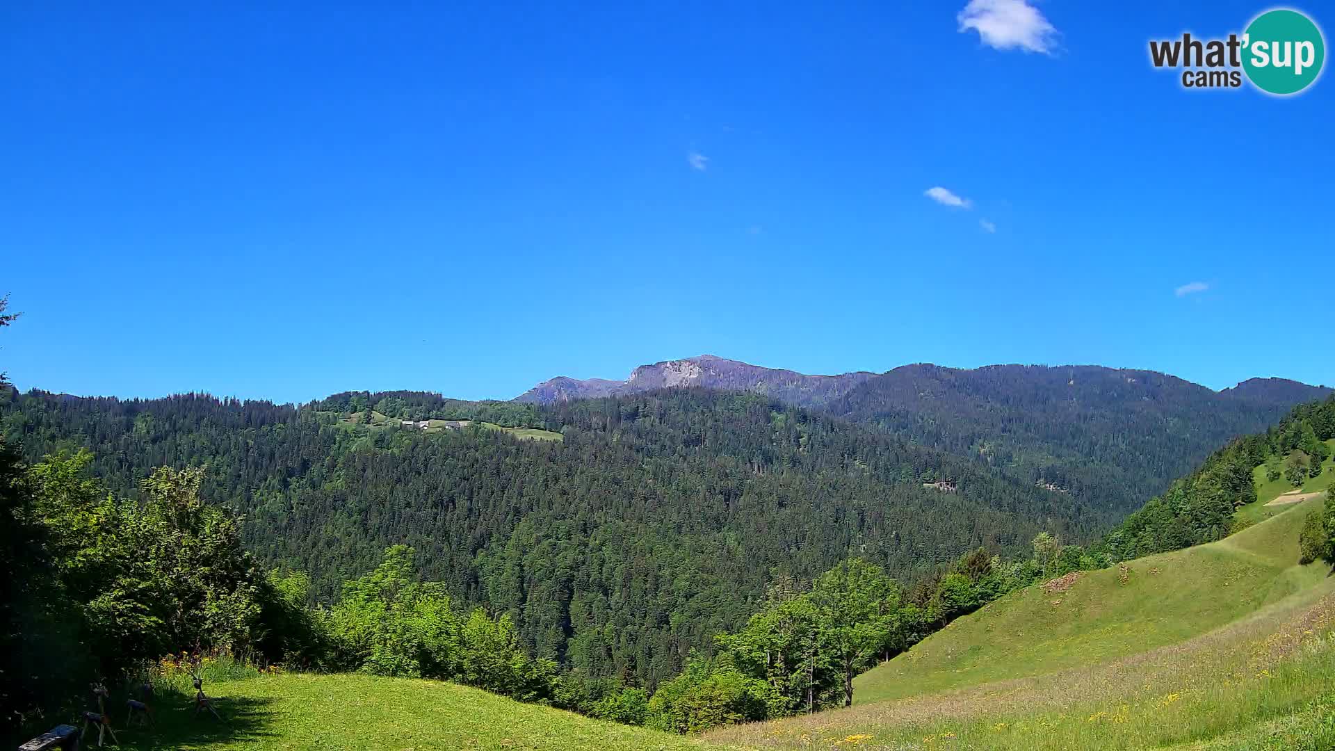 Spletna kamera Brunarica Dražgoše – Pogled v živo na Ratitovec (1666 m)