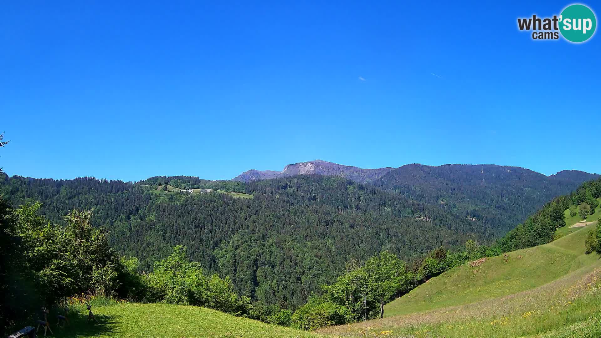 Webcam Brunarica Dražgoše – Vista live sul Ratitovec (1666 m)