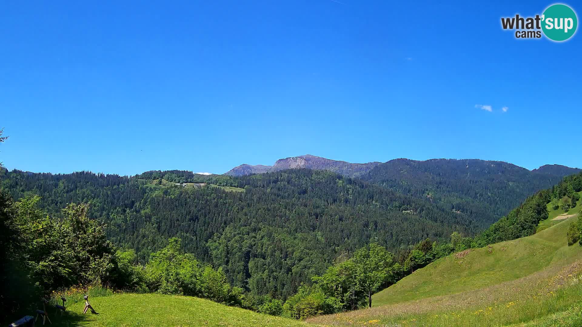 Webcam Brunarica Dražgoše – Vista live sul Ratitovec (1666 m)