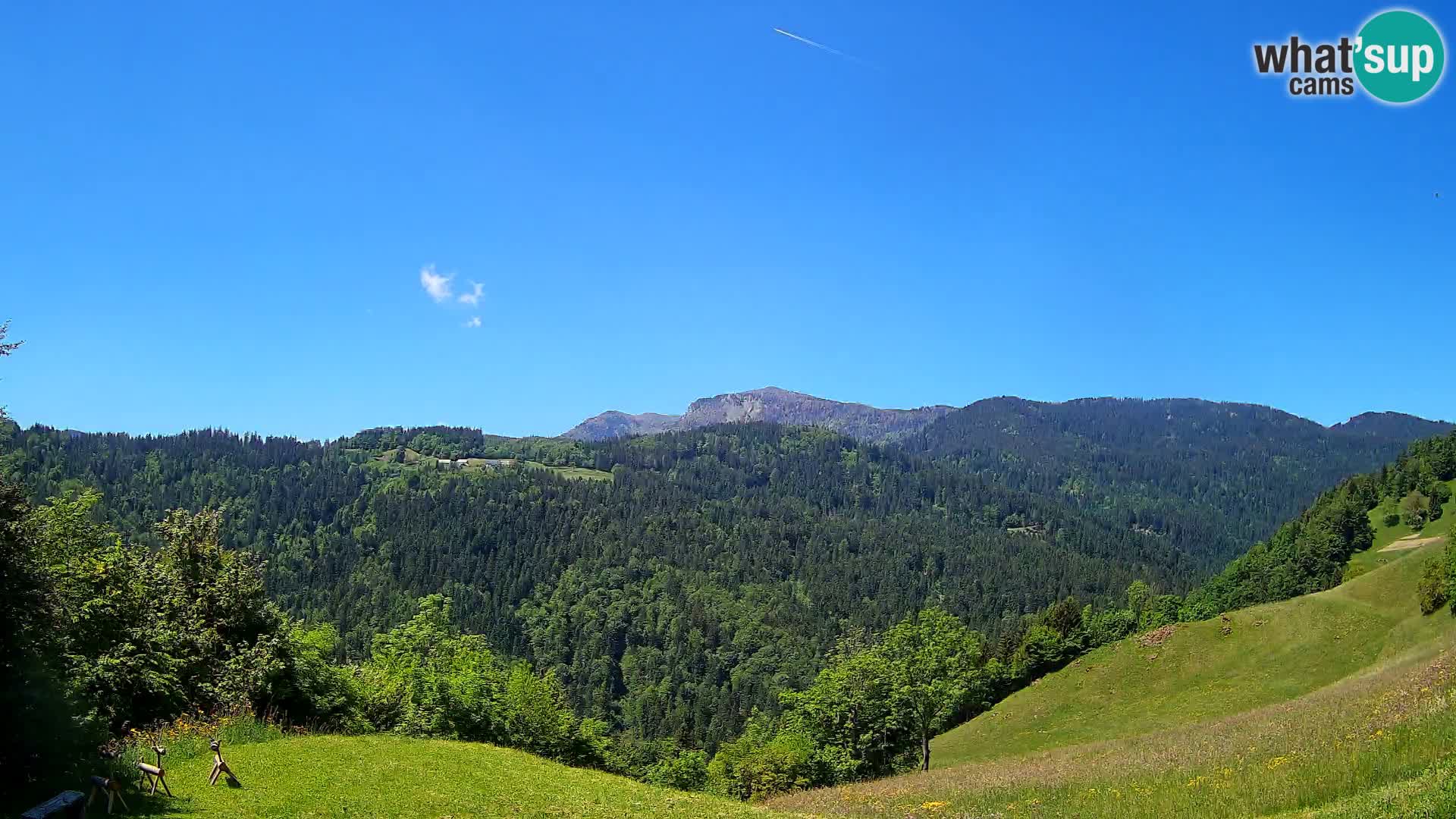 Web kamera Brunarica Dražgoše – Pogled uživo na Ratitovec (1666 m)
