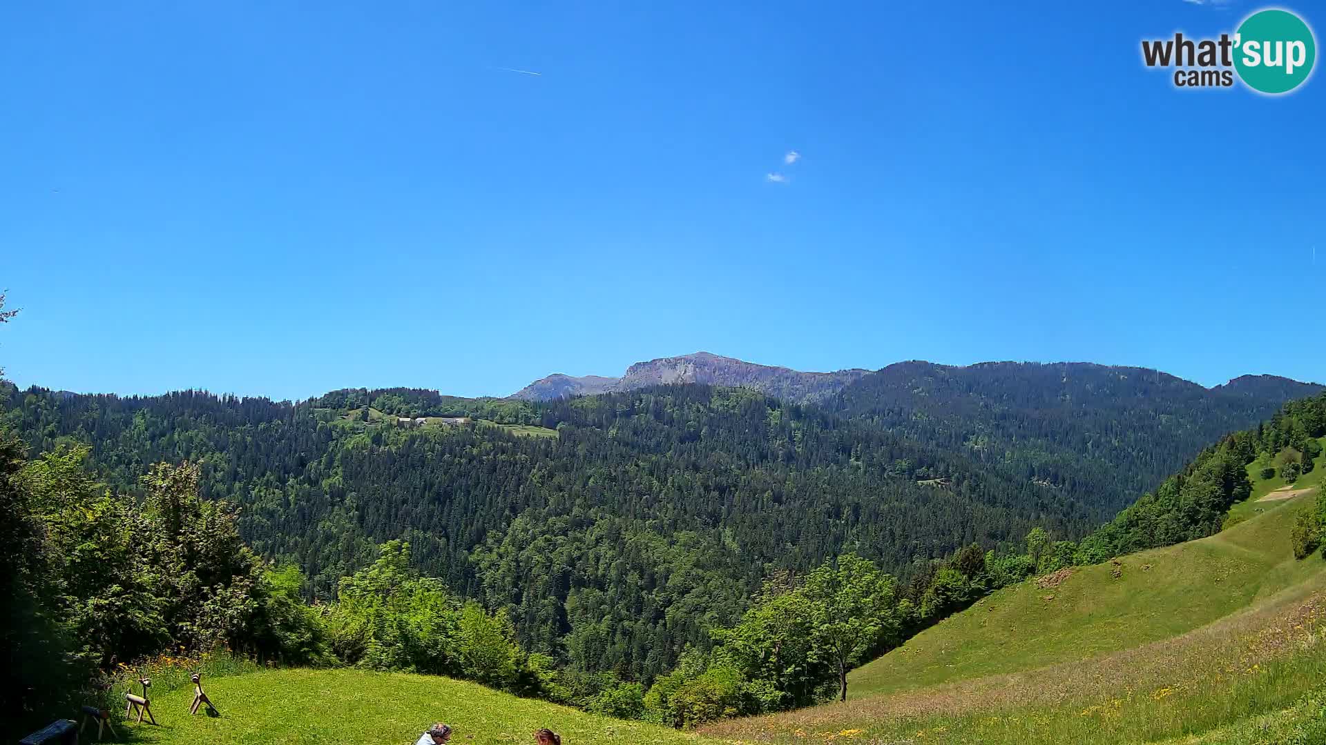 Webcam Brunarica Dražgoše – Live View of Ratitovec (1666 m)