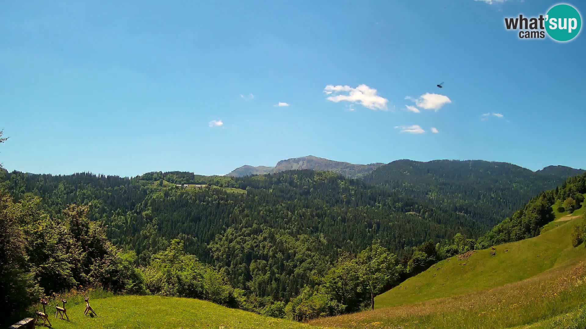 Webcam Brunarica Dražgoše – Live View of Ratitovec (1666 m)
