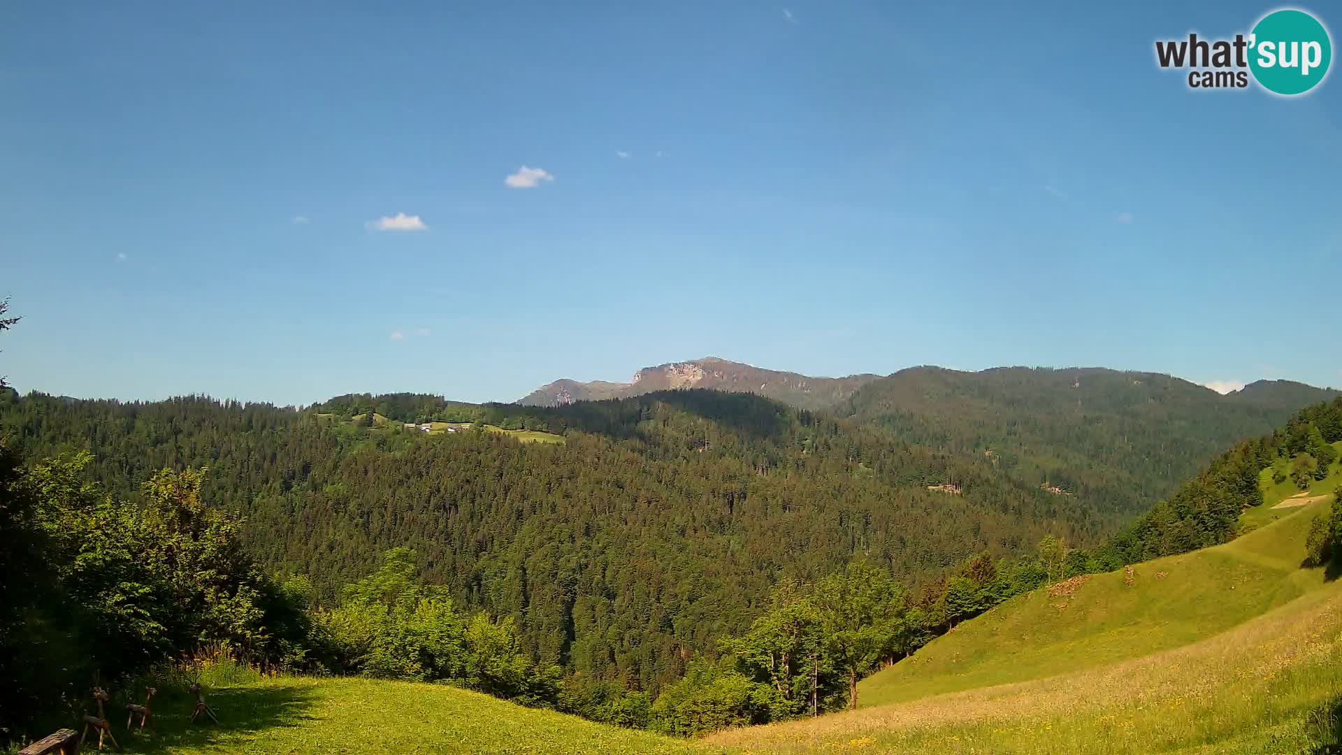 Webcam Brunarica Dražgoše – Live View of Ratitovec (1666 m)