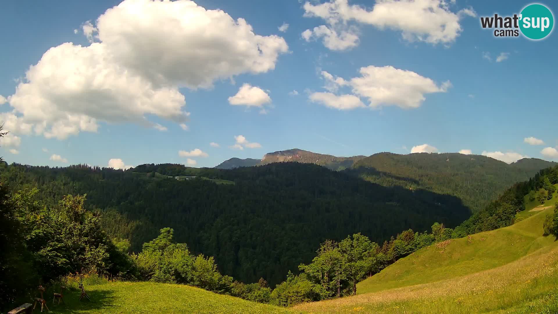 Spletna kamera Brunarica Dražgoše – Pogled v živo na Ratitovec (1666 m)