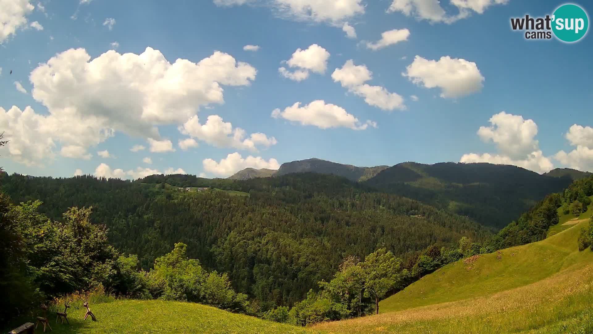 Spletna kamera Brunarica Dražgoše – Pogled v živo na Ratitovec (1666 m)