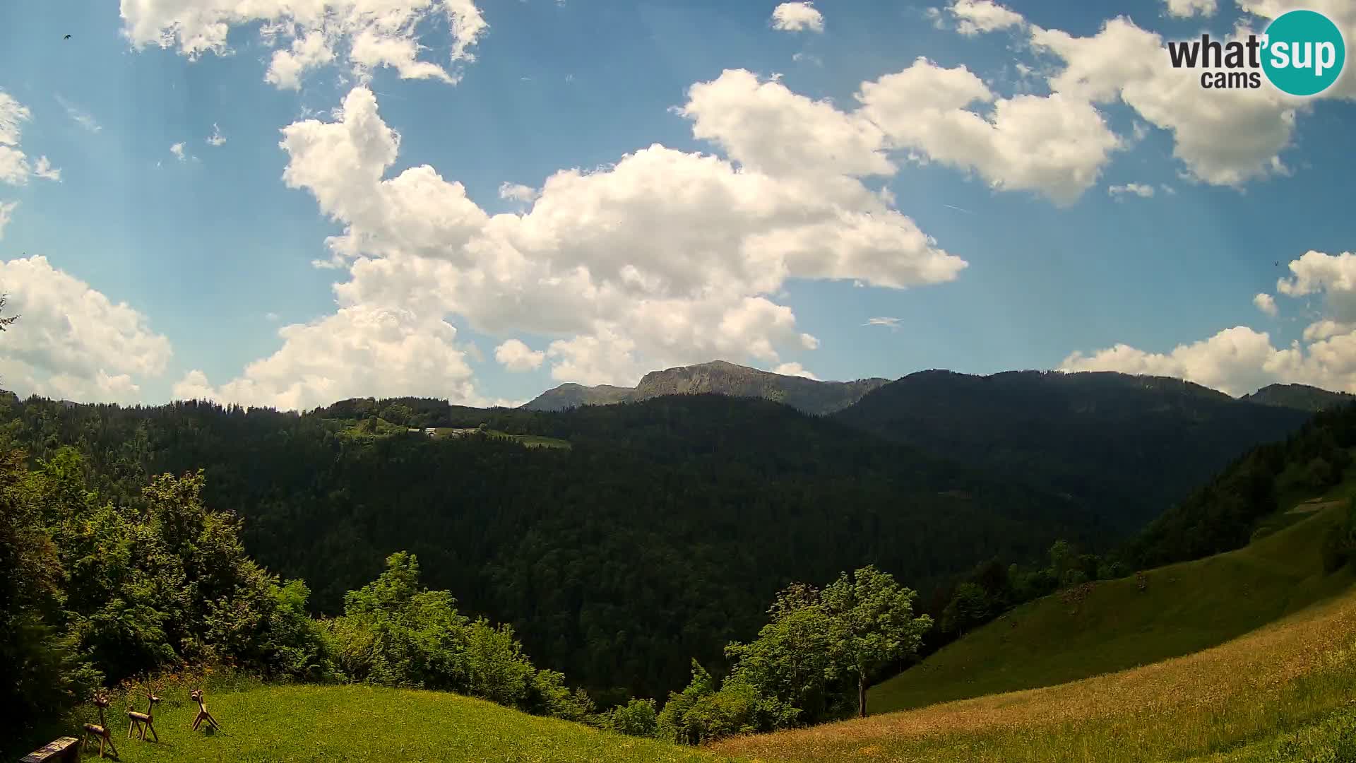 Spletna kamera Brunarica Dražgoše – Pogled v živo na Ratitovec (1666 m)