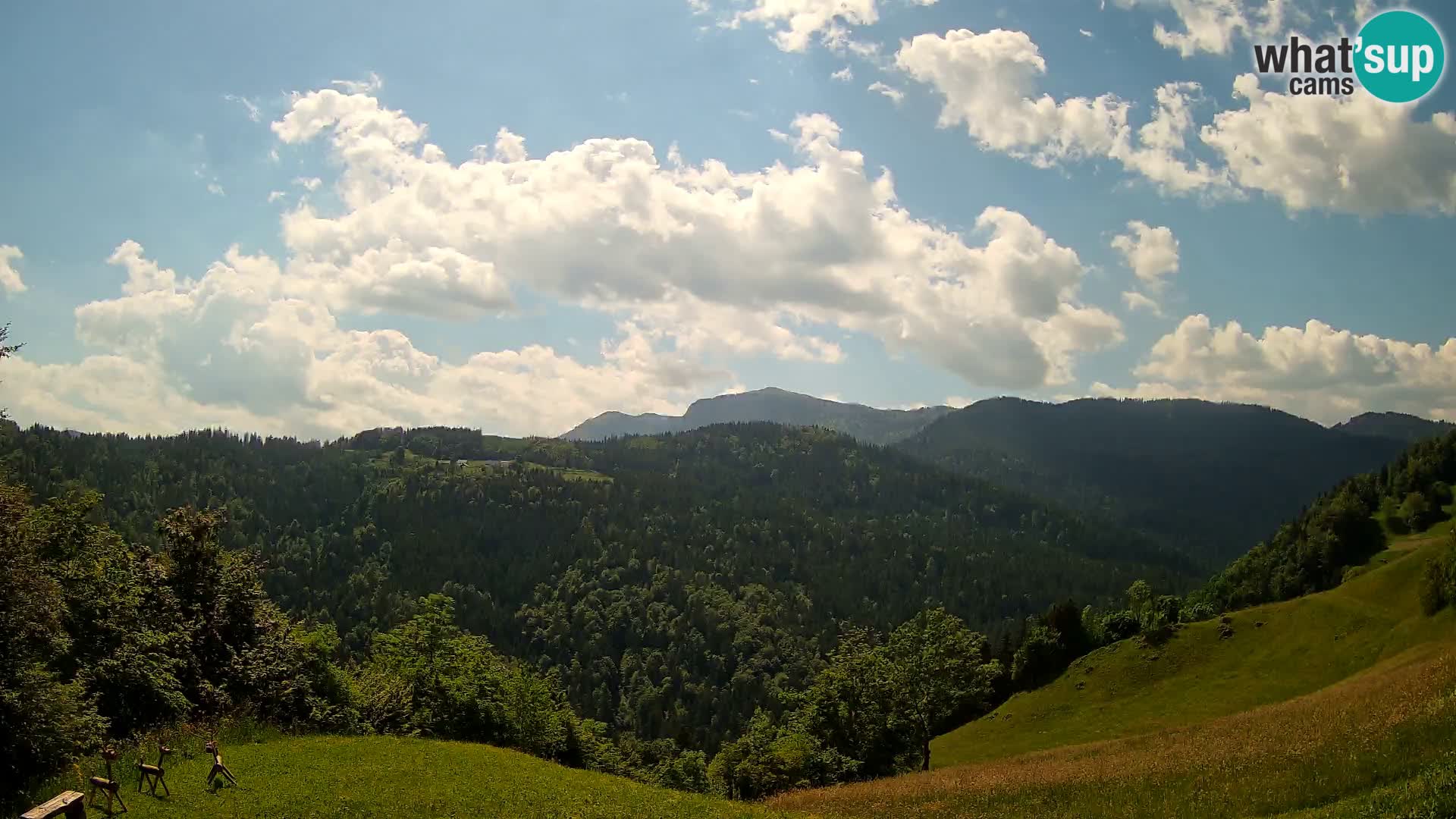 Webcam Brunarica Dražgoše – Live View of Ratitovec (1666 m)