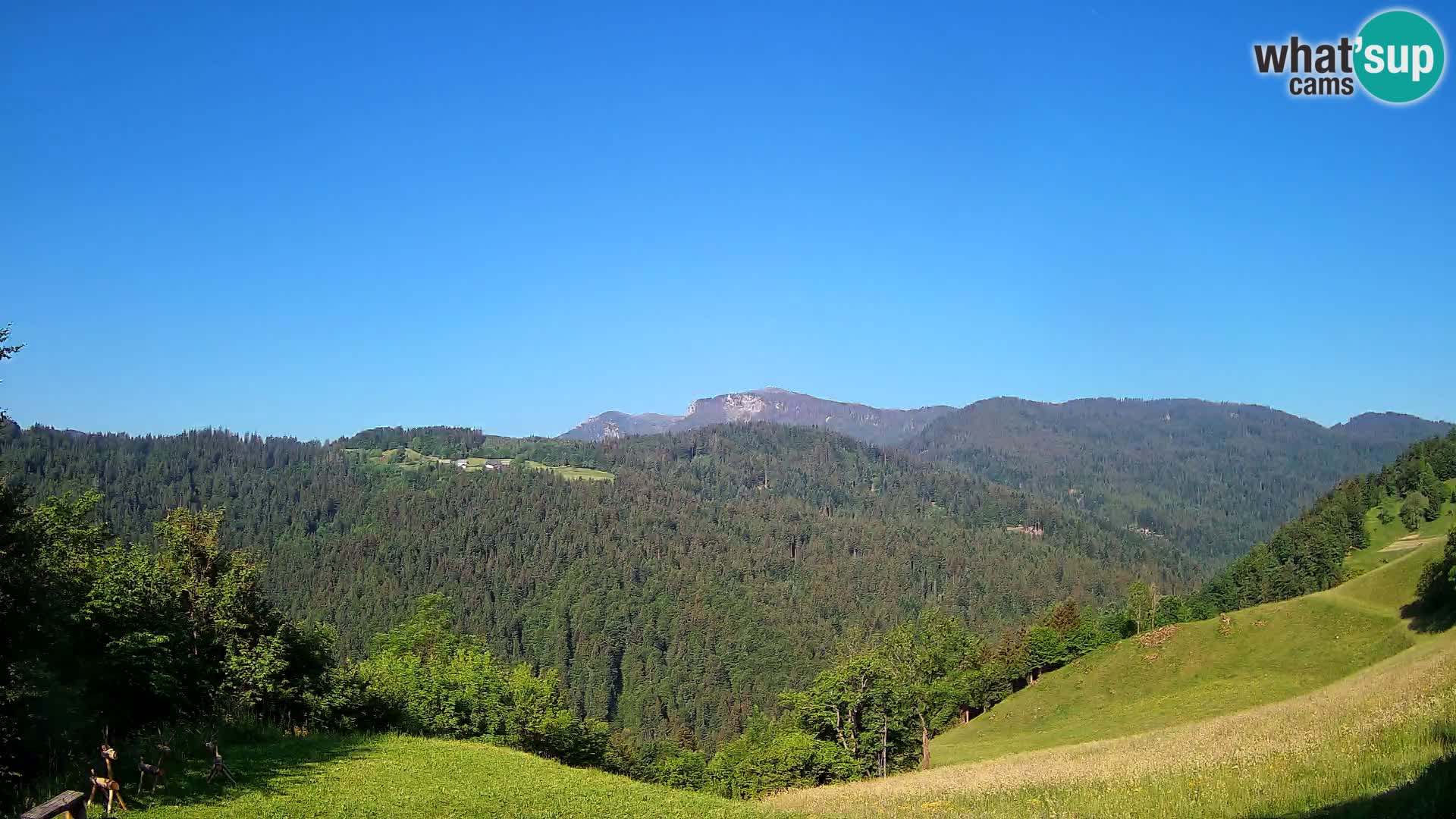 Webcam Brunarica Dražgoše – Liveblick auf Ratitovec (1666 m)