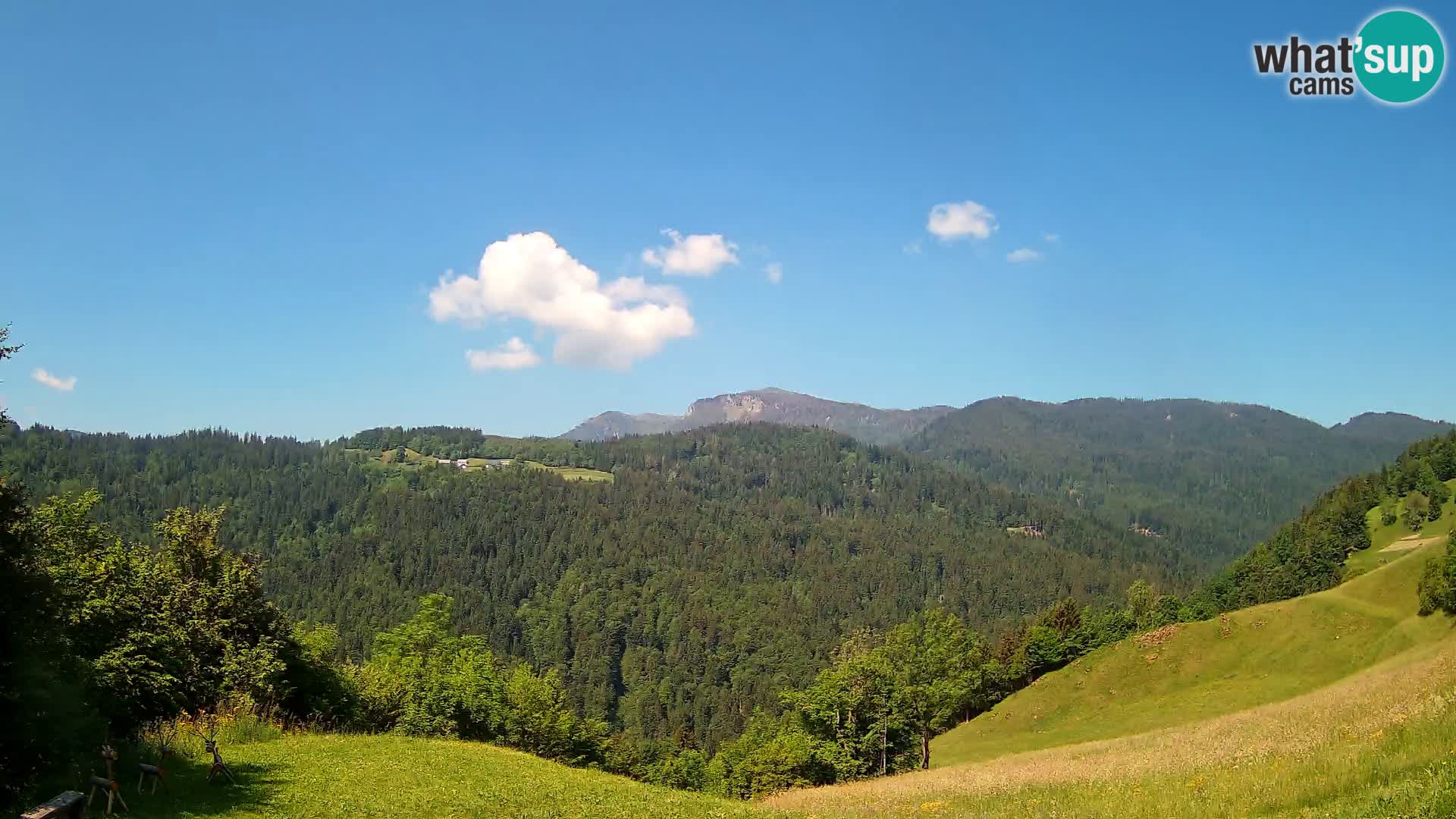 Spletna kamera Brunarica Dražgoše – Pogled v živo na Ratitovec (1666 m)