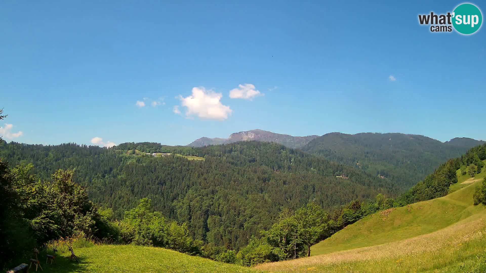 Webcam Brunarica Dražgoše – Live View of Ratitovec (1666 m)