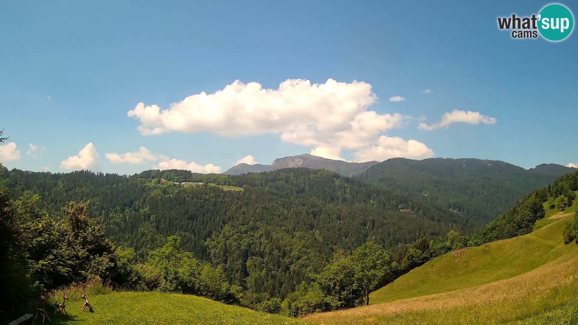 Webcam Brunarica Dražgoše – Live View of Ratitovec (1666 m)