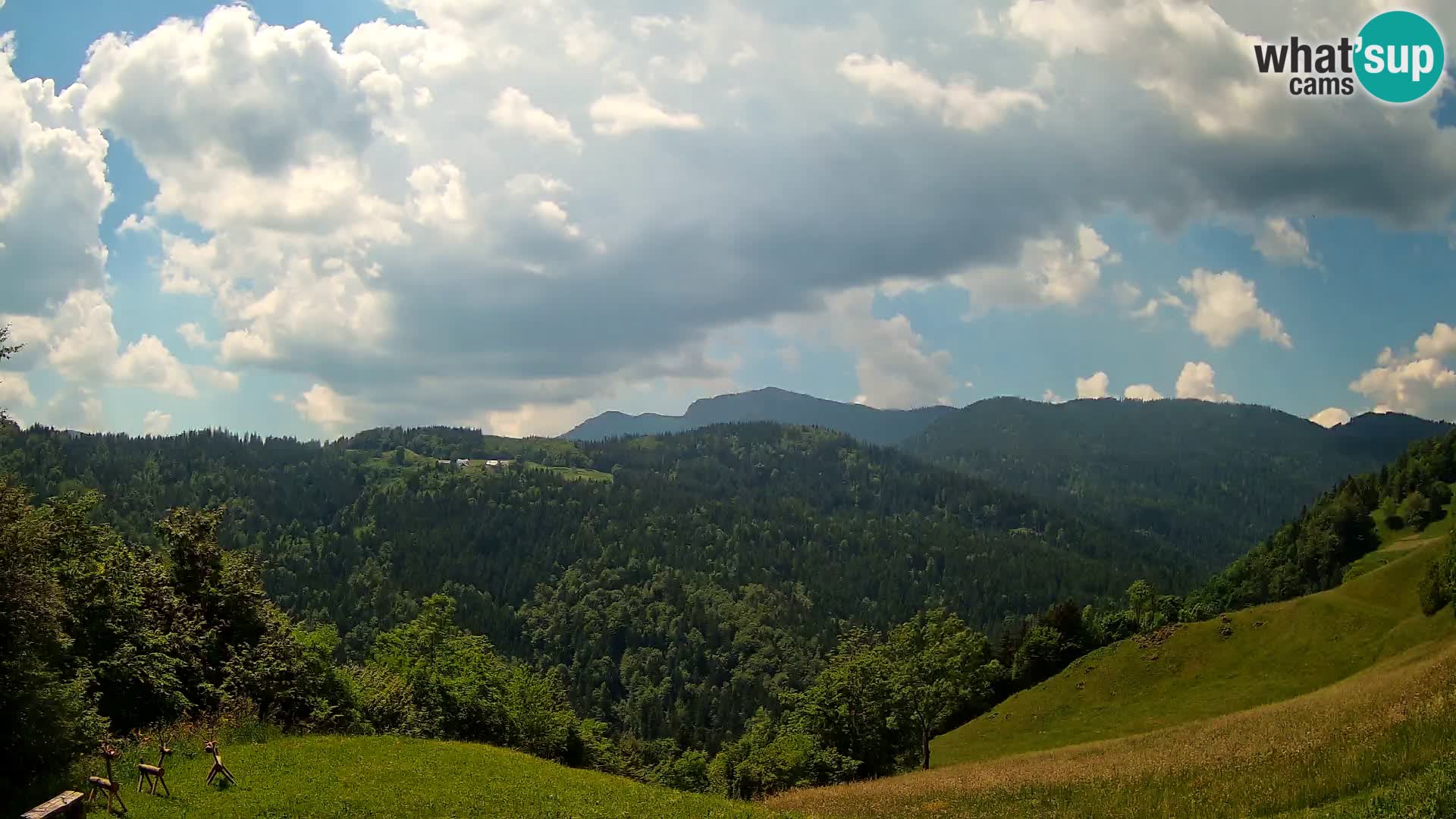 Webcam Brunarica Dražgoše – Live View of Ratitovec (1666 m)