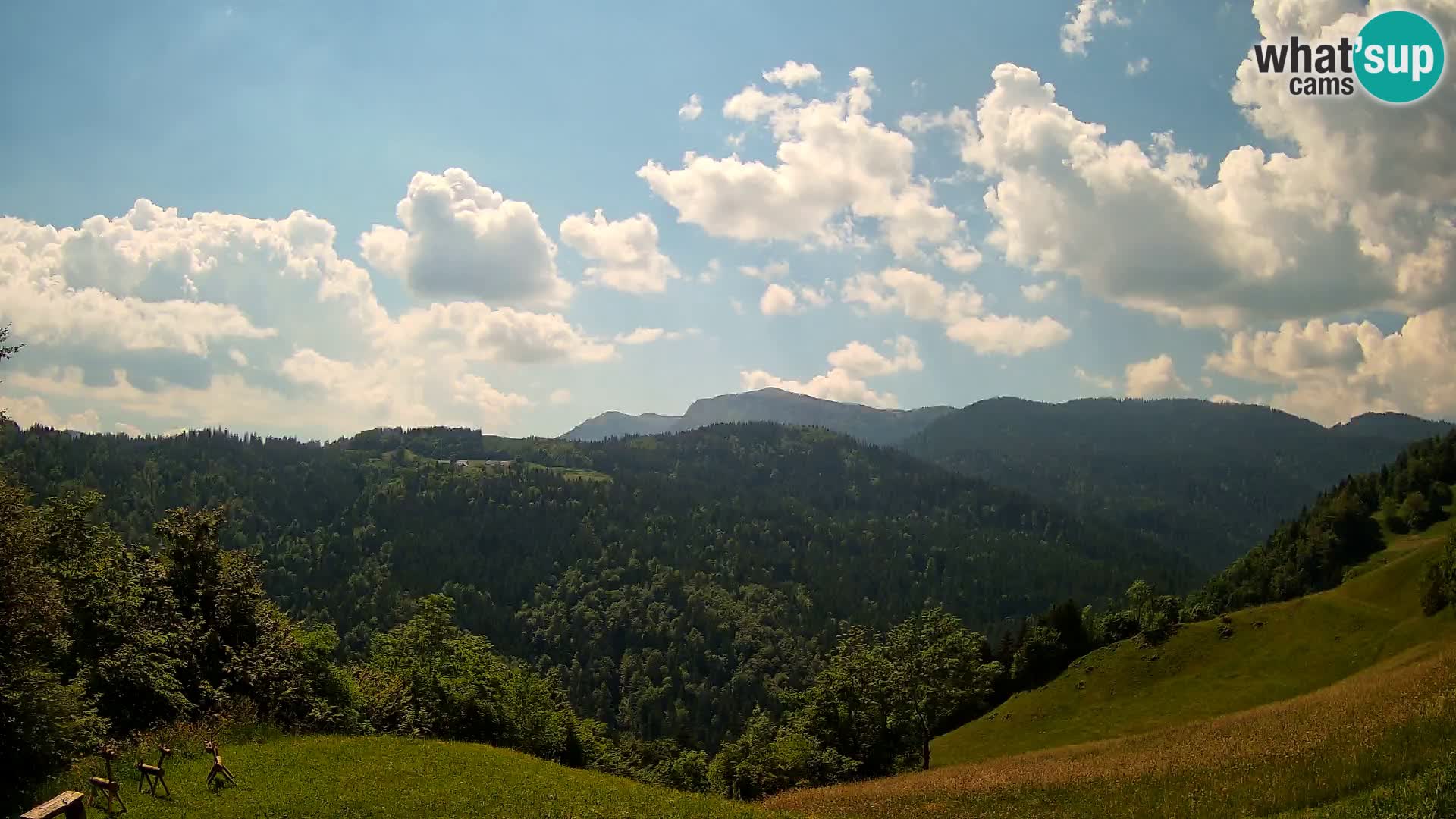 Webcam Brunarica Dražgoše – Live View of Ratitovec (1666 m)