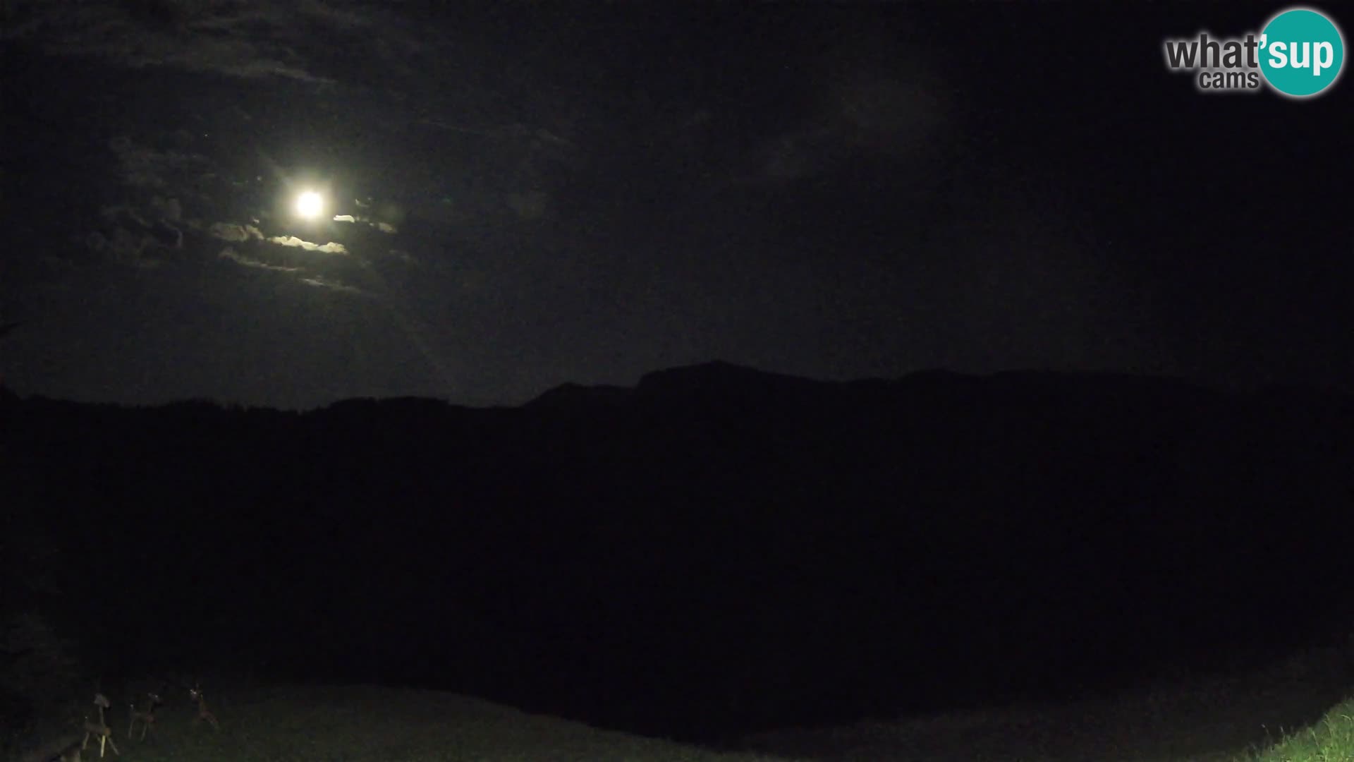 Webcam Brunarica Dražgoše – Vista live sul Ratitovec (1666 m)
