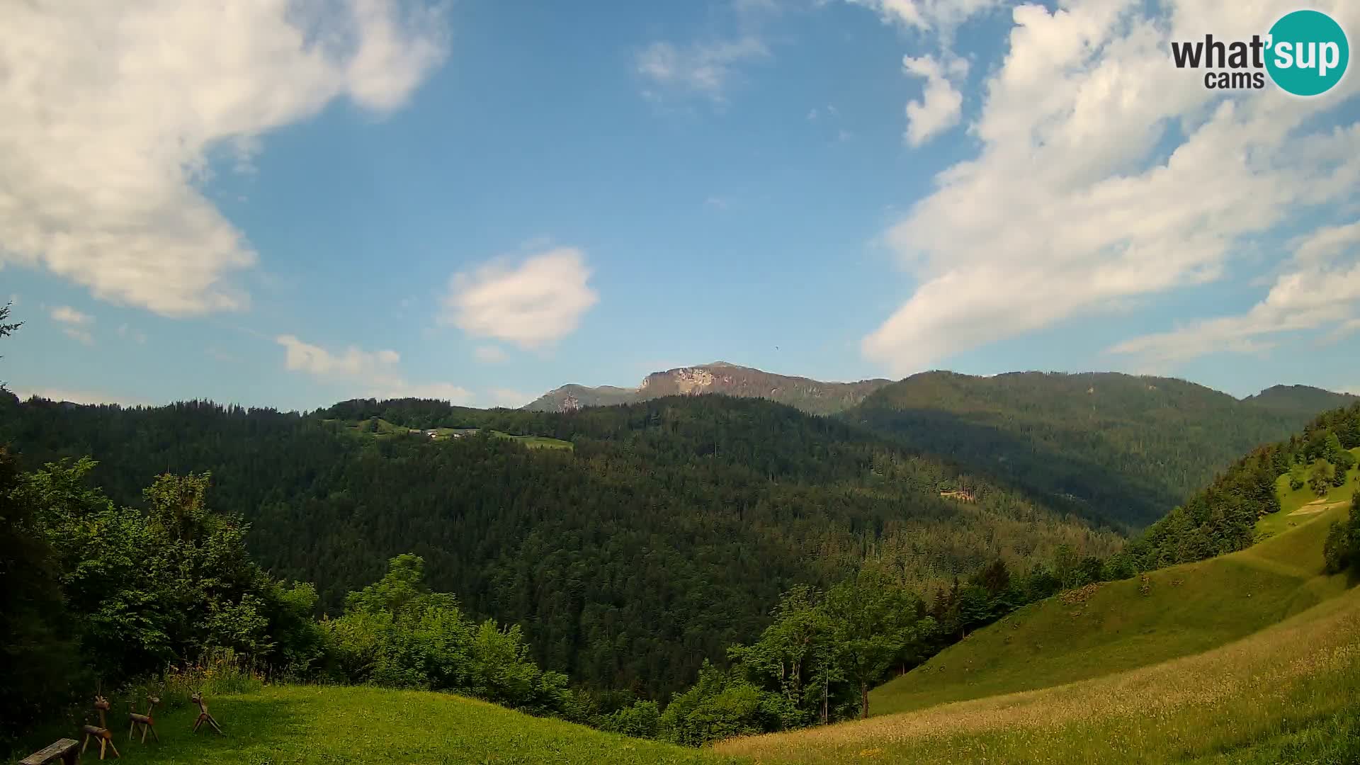 Webcam Brunarica Dražgoše – Live View of Ratitovec (1666 m)