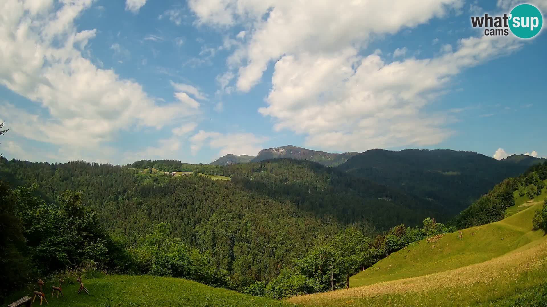 Webcam Brunarica Dražgoše – Live View of Ratitovec (1666 m)