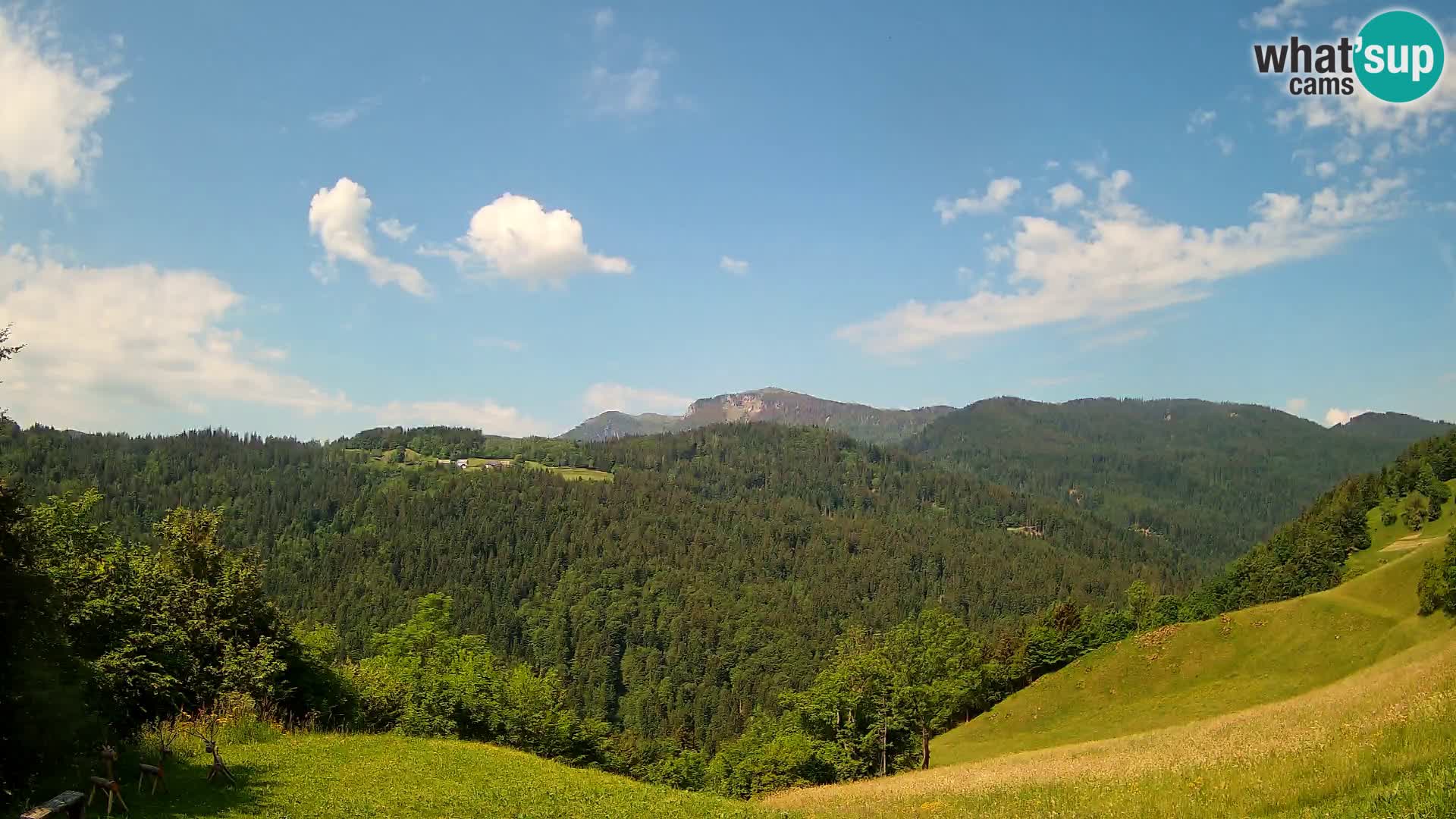 Web kamera Brunarica Dražgoše – Pogled uživo na Ratitovec (1666 m)