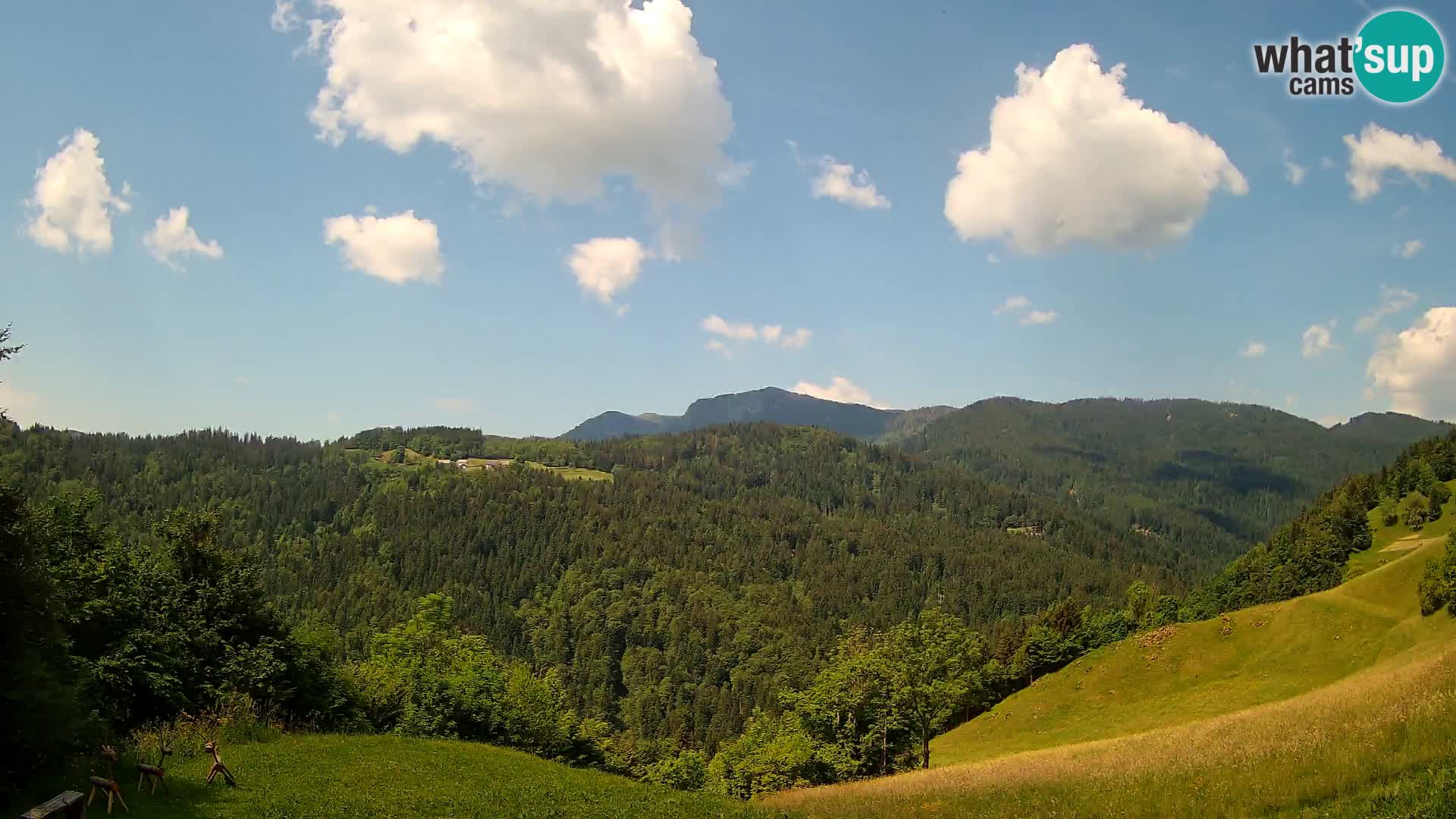 Webcam Brunarica Dražgoše – Live View of Ratitovec (1666 m)