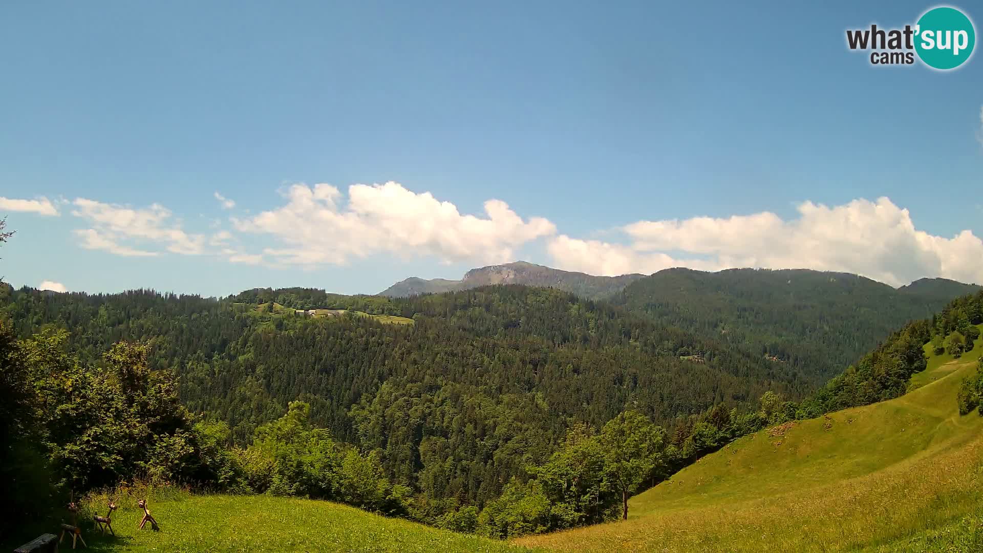 Spletna kamera Brunarica Dražgoše – Pogled v živo na Ratitovec (1666 m)