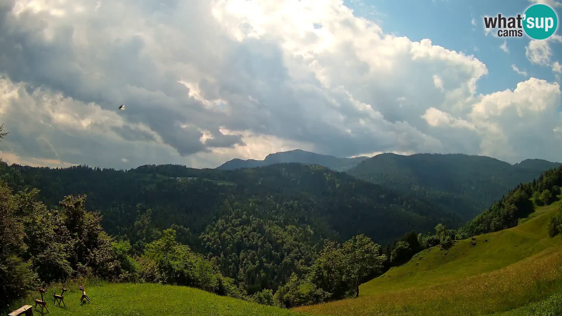 Webcam Brunarica Dražgoše – Live View of Ratitovec (1666 m)