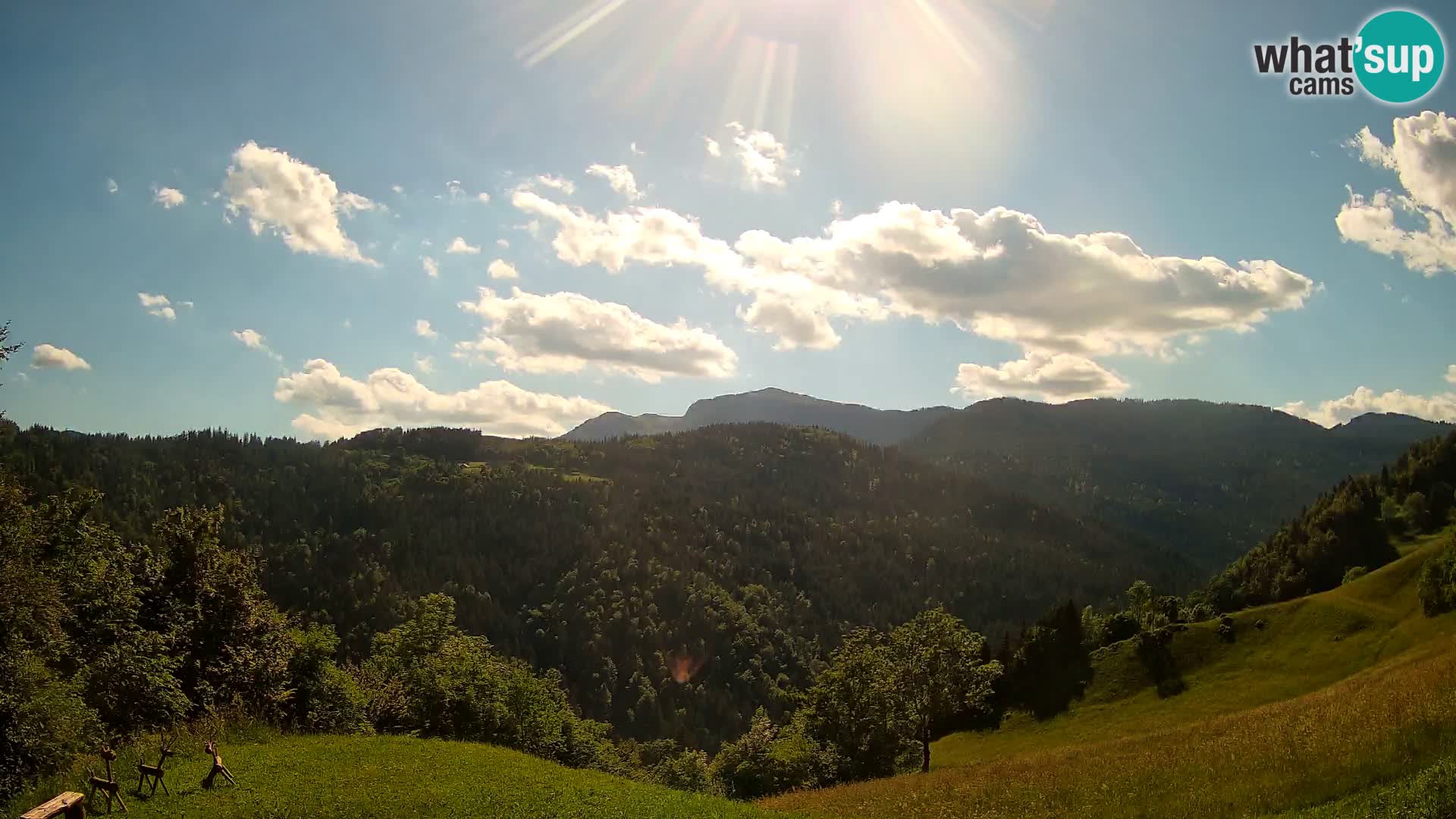 Webcam Brunarica Dražgoše – Live View of Ratitovec (1666 m)