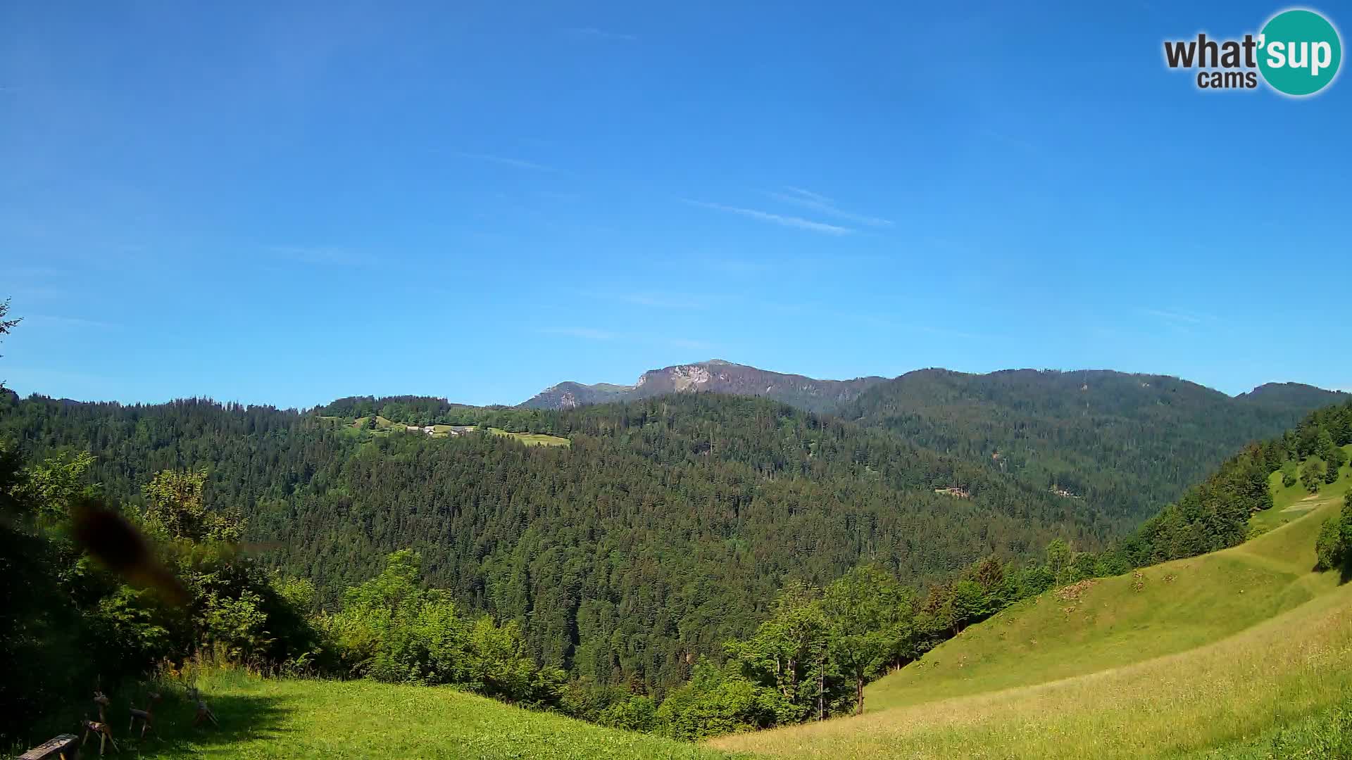 Spletna kamera Brunarica Dražgoše – Pogled v živo na Ratitovec (1666 m)