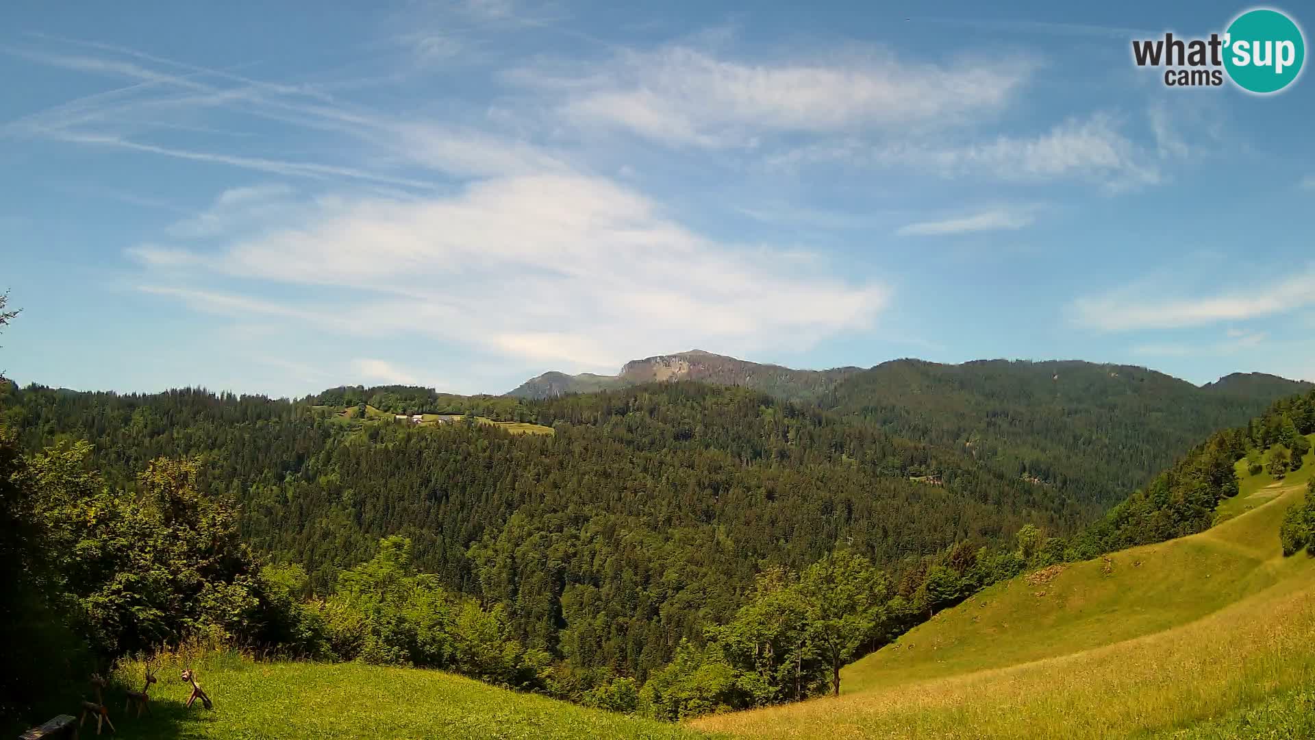 Webcam Brunarica Dražgoše – Live View of Ratitovec (1666 m)