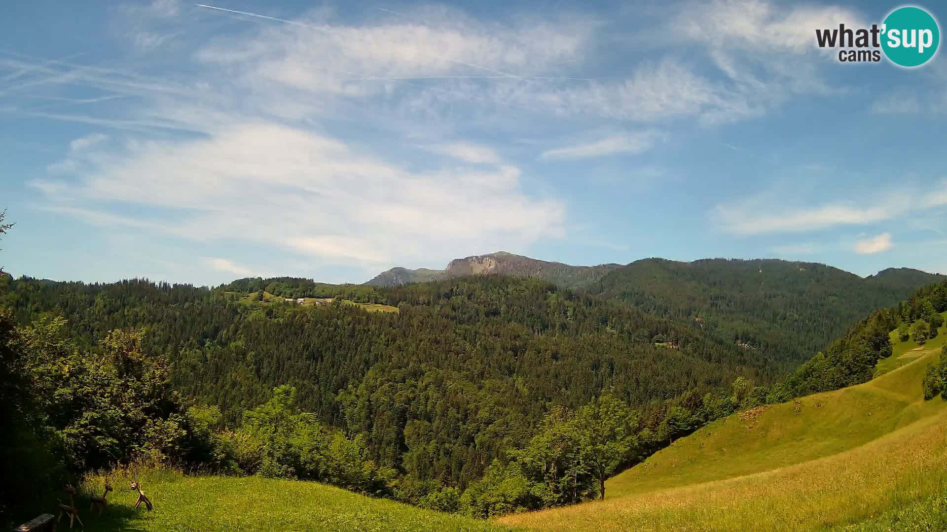 Webcam Brunarica Dražgoše – Live View of Ratitovec (1666 m)