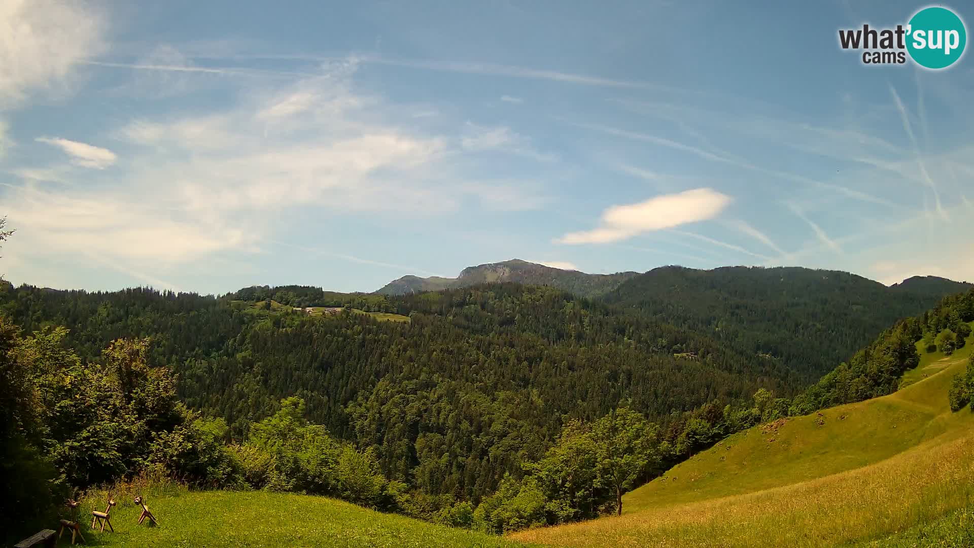 Spletna kamera Brunarica Dražgoše – Pogled v živo na Ratitovec (1666 m)