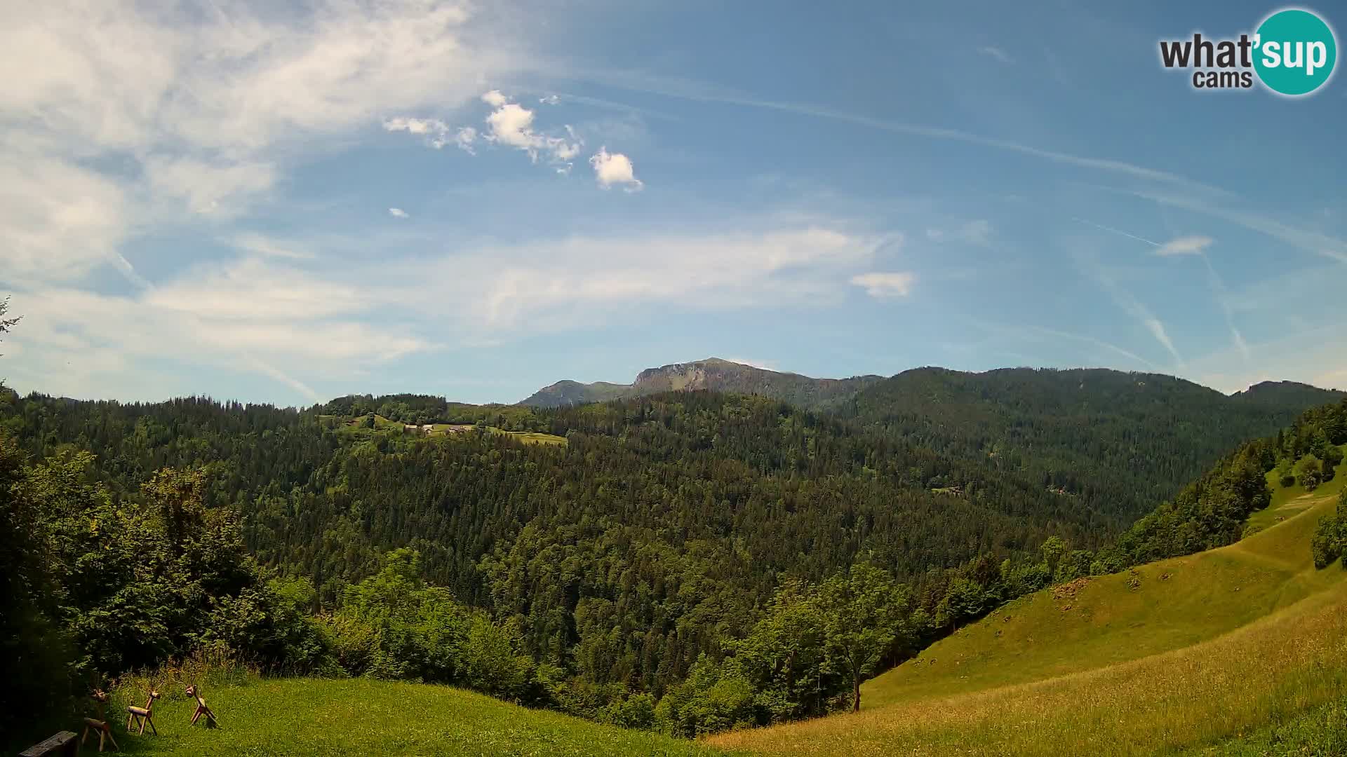 Webcam Brunarica Dražgoše – Live View of Ratitovec (1666 m)