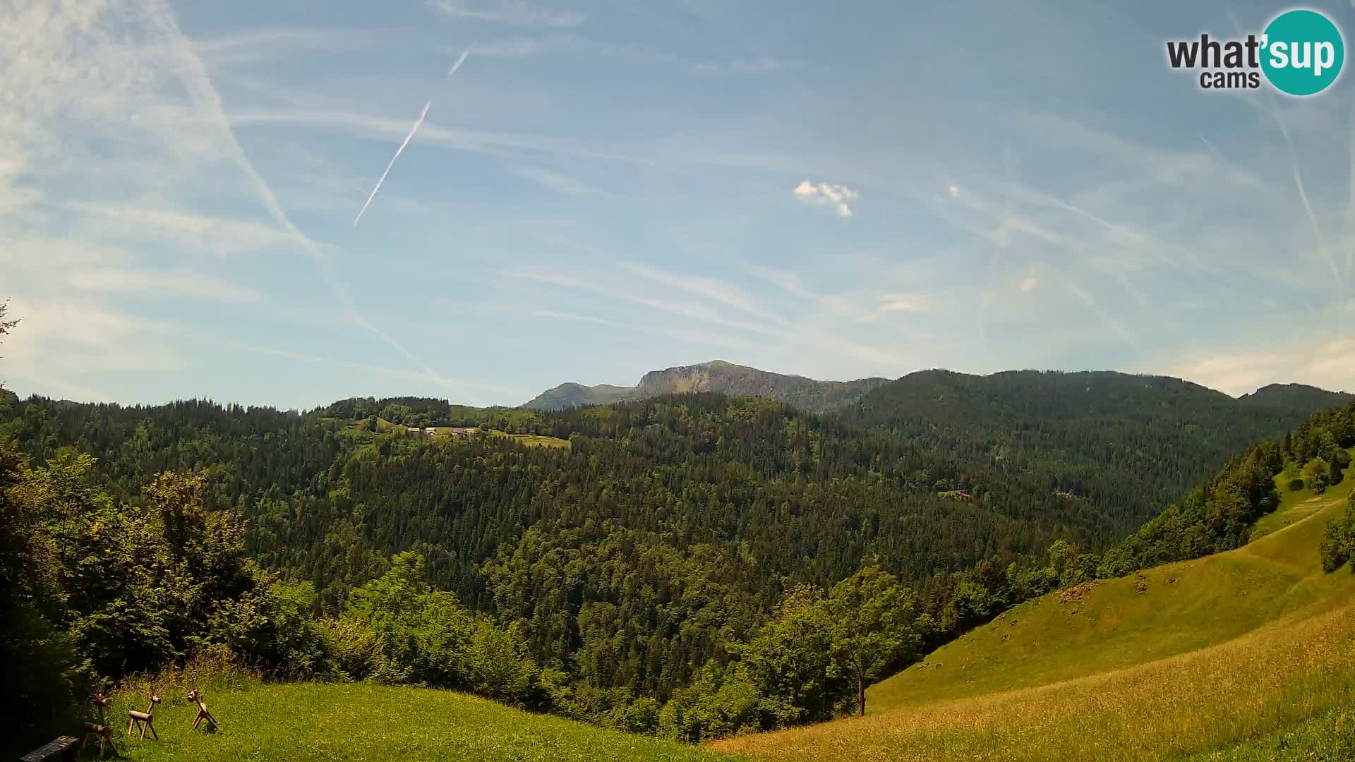 Webcam Brunarica Dražgoše – Live View of Ratitovec (1666 m)