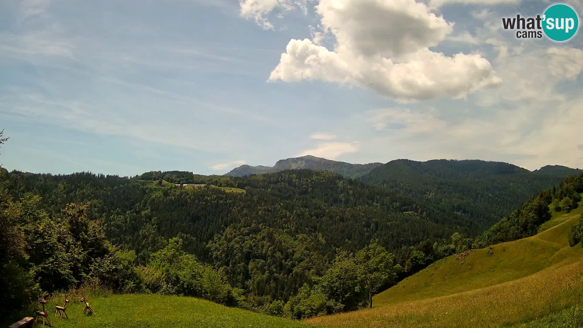 Spletna kamera Brunarica Dražgoše – Pogled v živo na Ratitovec (1666 m)