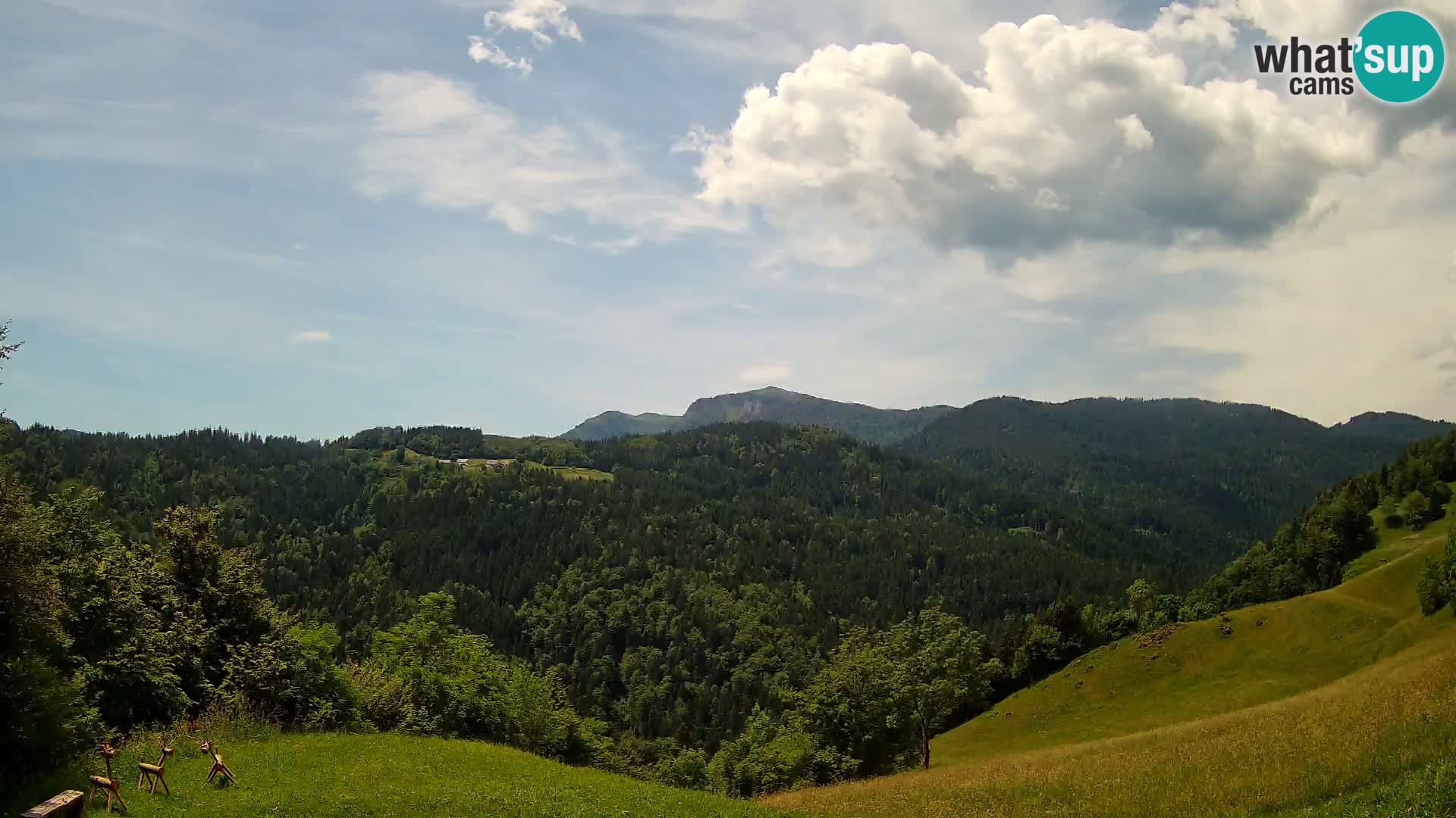 Webcam Brunarica Dražgoše – Live View of Ratitovec (1666 m)