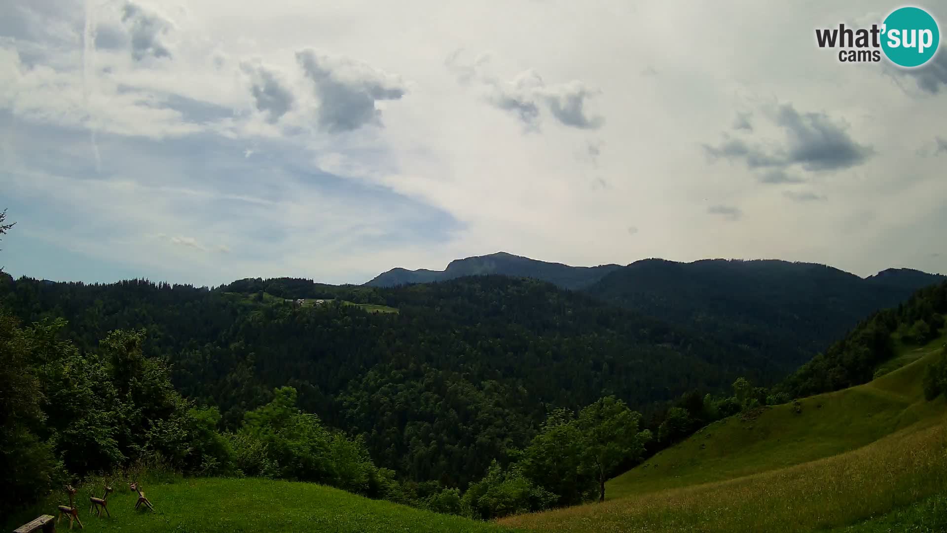 Webcam Brunarica Dražgoše – Live View of Ratitovec (1666 m)