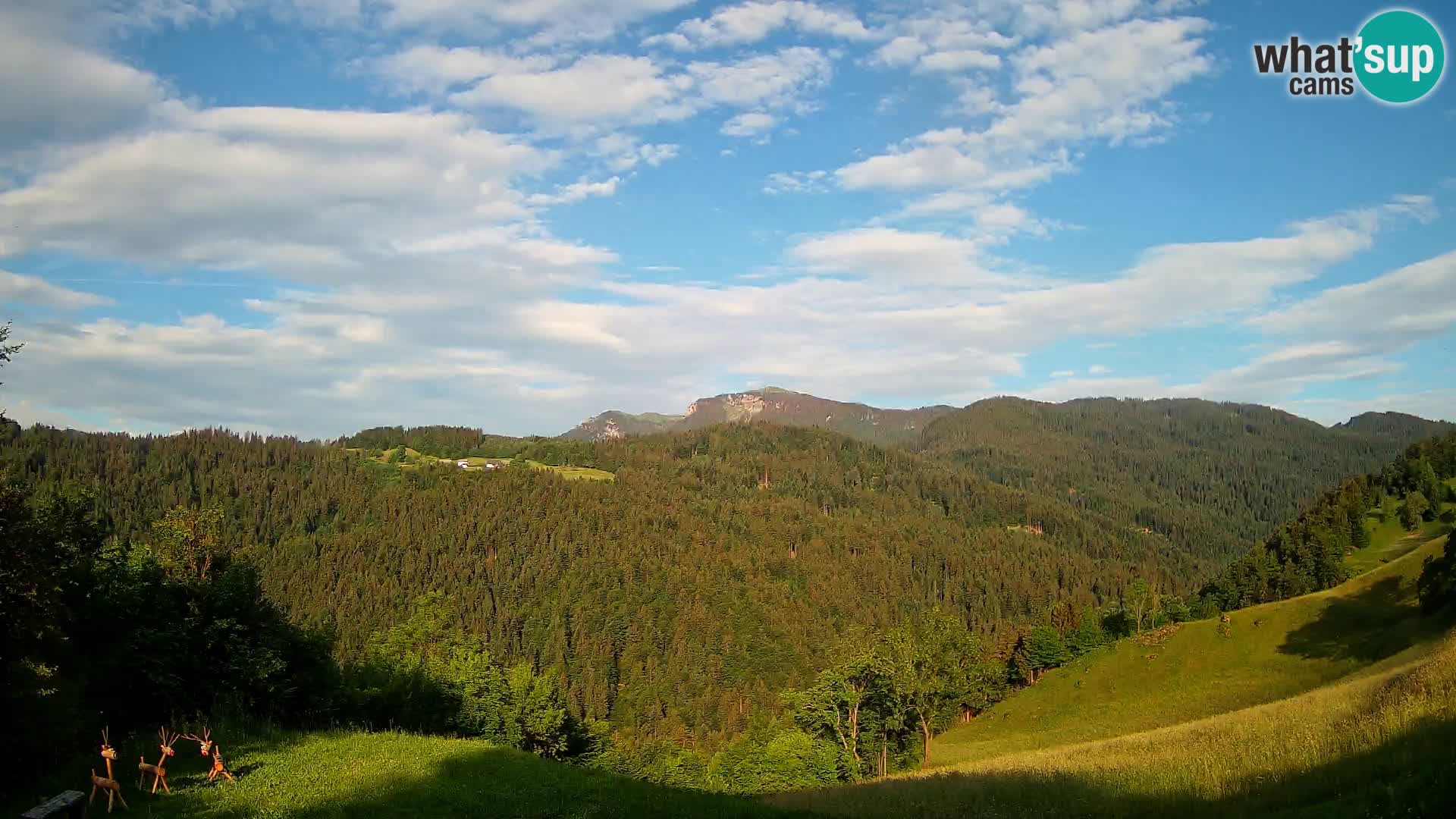 Webcam Brunarica Dražgoše – Live View of Ratitovec (1666 m)